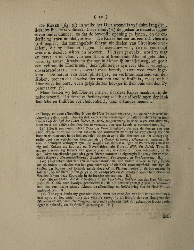 De Koker 2.) in welke het Dier woond is vyf duim lang (/) ^ deszelvs fneede is volmaakt Circelrond; (m) de gedaante deszelvs figuur is van onder dunner, zo dat de hovende opening 7f lynen, en de on- derfle 34: lynen middellyns was. De Koker beflaat uit een dik vlies als. grof papier, dat zamengeftelt fchynt uit deelen van Circelronde ve¬ zelen , die op elkander liggen. Is asgraauvv wit , Qi') en gedroogd zynde is dezelve witter en broozer. In Azyn geweekt, word zy zagt en taay; in de vlam van een Kaars of brandende Alcohol gehouden, word zy zwart, kraakt en fpringt in kleine fplintertjes weg, en geeft een gebrandde Hoornreuk, deze fplintertjes zyn zeer klein, witagtig, on ver brandbaar , hard , overal even breed, en aan wederzyde inge¬ knot. De natuur van deze fplintertjes, en verbrandbaarheid van den Koker, toonen dat dezelve niet van een andere ftoffe is, maar tot het Dier zelve behoort, even gelyk de zes hoekjes in den buis van den Py- penmaaker, (0) Maar laaten wy het Dier.zelv zien , dat deze Koker maakt en in de¬ zelve woond. In deszelvs befchryving zal ik de afbeeldingen der Hoh landfche en Indifche verfcheidenheid, door elkander neemen., de Hoop, eii'Zyne afbeelding is van de Heer Pali.as ontleend, en alleenop'deszelfsbe- Ichryving gefchilderd. Hoe kwalyk egter zulke afzettingen uitvallen, heb ik inliet Aan- hangzel op de Ljft der Plant-Dieren^ p. 626. aangewezen, in deze wyze van afzetten,, dient meer om valfche denkbeelden te vormen, dan egte kennis te vermeerderen. B.] (/J) [Het is een aanbiddelyke Zorg der Voorzienigheid , dat alle de deelen van een Dier, welke door van buiten aankomende oorzaaken vernield of verpletterd zouden konnen worden met harde bekleedzelen omgeven zyn; dus ziet men dat het vliezigeag- terfte deel van verfcheiden Kreeftjes als de €ancer Eremita, Diogenes en anderen, al¬ toos in Schulpen verbQrgen zyn, de Rtipfén van de Gaasvliegen enWaterneltjes maaken zig ook Kokers uit houtjes, en Neverflakjes, zie Goffr. Hifi, des Infedl, Tom. H., andere maaken zig Kokers van groene blaadjes, in vierkante ftukjes gefneeden, en als ^en Koker aan elkander gevoedt; geen Dieren woonen in eigentlyke Kokers, dan voorge¬ melde Rupfen , Zeeduizendbeenen, Zandkokers, Zandpypen, en Paalwormen, B,] (ni) [Het fchynt dus van een anderen natuur dan, alle andere Kokers te zyn, zynde alle de andere uit deelen van het groeibaare ryk of uit Kalk zaaraengeftèld; zus zyn de Stolfen der Kokers, of Dierlyk gelyk deze of uit Planten, gelylt in de bovengemelde InfeétenjOp uit kleef Itoifeii gelyk in de Zandpypen en Zandkokert, en uit het beloop der Vezelen fchynt deze Zoort zig in de breedte uittezetten, B.] («5 Hiei'uit blykt, dat de afbeelding in het Concbfiten Kabinet van den Heer Martini Tab. IV. f. 26, zeer kwalyk gecouleurd is, als die dezelve geelagtig graaiiw vertoond met een zeer fterke glans, fchoon de afbeelding en befchryving van de Heer Pallas . ontleend zyn. *B.] (ö) [Dit egter dunkt my gaat niet door, want het eene deel van het Dier kan verbrand- baar zyii, en het ander niet; dus vind ik terwyl ik dit fchryf, dat een Honigraat der- Maribons- of Weft-Indifche Wespen, gebrand zynde. een reuk .van gebraadde Hoorn geeft^, egter is bekend, dat de.Kolfe Plantaardig is. B.]