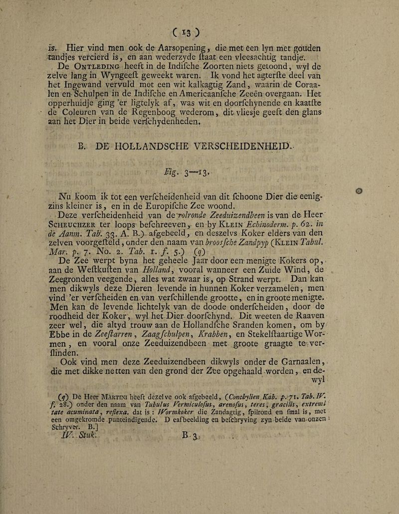 IS, Hier vind men ook de Aarsopening, die met een lyn met gouden tandjes vercierd is, en aan wederzyde ilaat een vleesachtig tandje'. De Onti^eding heeft in de Indifche Zoorten niets getoond, wyl de zelve lang in Wyngeefl geweekt waren. Ik vond het agterfte deel van het Ingewand vervuld mot een wit kalkagtig Zand, waarin de Coraa- len en Schulpen in de Indifche en Americaanfche Zeeën overgaan. Het opperhuidje ging ’er ligtelyk af, was wit en doorfchynende en kaatfte * de Coleuren van de Regenboog wederom, dit vliesje geeft den glans aan het Dier in beide verlchydenheden* B. DE HOLLANDSCHE VERSCHEIDENHEID,. Nu koom ik tot een verfcheidenheid van dit fchoone Dier die eenig- zins kleiner is, en in de Europifche Zee woond. Deze verfcheidenheid van de'rolronde Zeedzi7ze?7dlfeen is V3.n de Heer' ScHEUCHZER ter loops befchreeven, en by KLEiN'Fe/j/nodenn. p. 62. in de Aanm. Talf. 33. A. B.) afgebeeld, en deszelvs Koker elders van den zelven voorgefteld, onder den naam van broosfche Zandpyp (Klein Tabtil. Mar. p. 7. No. 2. Tab. r. ƒ. 5.) Qcf) De Zee werpt byna het geheele Jaar door een menigte Kokers op,, aan de Weflkuilen van Holland^ vooral wanneer een Zuide Wind, de Zeegronden veegende, alles wat zwaar is, op Strand werpt. Dan kan men dikwyls deze Dieren levende in hunnen Koker verzamelen, men’ vind ’er verfcheiden en van verfchillende grootte, en in groote menigte. Men kan de levende lichtelyk van de doode onderfcheiden, door de roodheid der Koker , wyl het Dier doorfchynd. Dit weeten de Raaven zeer wel, die altyd trouw aan de Hollandfche Sranden komen, om by 'Ehhein de Ze efi ar ren Zaagfchulpen.^ Krabben^ en StekelRaartige Wor¬ men , en vooral onze Zeeduizendbeen met groote graagte te'.ver- llinden. Ook vind men deze Zeeduizendbeen dikwyls onder de Garnaalen, die met dikke netten van den grond der Zee opgehaald ^worden, en de- wyl (A) De Heer Martini Iieefc dezelve ook afgebeeld, QConchylien Kdb. Tab.IV. /I 28.) onder den naam van Tuhulus Fermiculofm, arenofus^ teres, gracilis, extreml’ iate acuminata, reflexa. dat is : iZormkoker die Zandagtig, fpilrond en fmal is, met een omgekromde punteindigende. D eafbeelding en befchryving zyn beide vaironz-en ^ Schryver. B.]