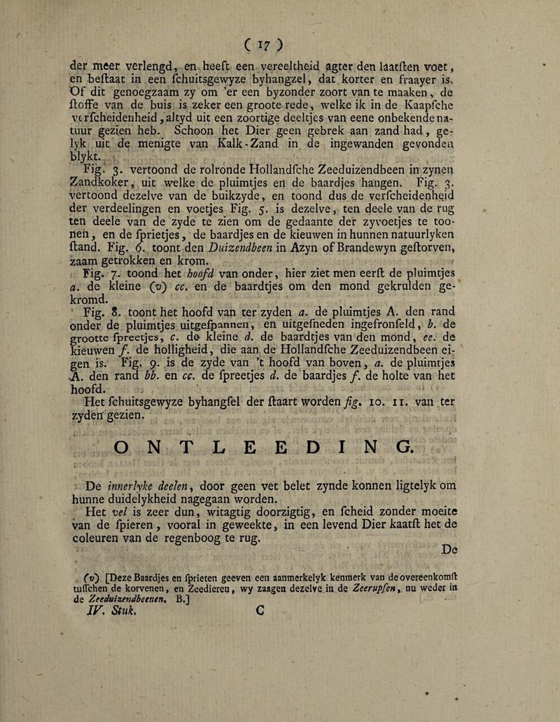 C I? ) der meer verlengd, en heeft een vereeltheid agter den laatflen voet, en beftaat in een Ibhuitsgewyze byhangzel, dat korter en fraayer is. Of dit genoegzaam zy om ’er een byzonder zoort van te maaken, de ftoffe van de buis is zeker een groote rede, welke ik in de Kaapfche vtrfcheidenheid^altyd uit een zoortige deeltjes van eene onbekende na¬ tuur gezien heb. Schoon het Dier geen gebrek aan zand had, ge- lyk uit de menigte van Kalk-Zand in de ingewanden gevonden blykt., Fig.' 3. vertoond de rolronde Hollandfche Zeeduizendbeen in zynen Zandkoker, uit welke de pluimtjes en de baardjes hangen. Fig. 3. vertoond dezelve van de buikzyde, en toond dus de verfcheidenheid der verdeelingen en voetjes Fig. 5. is dezelve, ten deele van de rug ten deele van de zyde te zien om de gedaante der zyv^oetjes te too- nen, en de fprietjes, de baardjes en de kieuwen in hunnen natuurlyken fland. Fig. (5. toont den Duizendbeen in Azyn ofBrandewyn geftorven, zaam getrokken en krom. Fig. 7. toond het hoofd van onder, hier ziet men eerfl de pluimtjes a, de kleine (ü) cc, en de baardtjes om den mond gekrulden ge¬ kromd. Fig. 8. toont het hoofd van ter zyden a, de pluimtjes A. den rand onder de pluimtjes uitgefpannen, en uitgefneden ingefronfeld, b, de grootte fpreetjes, c, de kleine d, de baardtjes van den mond, ee. de kieuwen ƒ. de holligheid, die aan de Hollandfche Zeeduizendbeen ei¬ gen is. Fig. 9. is de zyde van ’t hoofd van boven, a. de pluimtjes cA. den rand bb, en cc, de fpreetjes d, de baardjes ƒ. de holte van het hoofd. Het fchuitsgewyze byhangfel der ftaart worden 10. ii. van ter zyden gezien. o N T L E E D I N G. V De innerlyke deden, door geen vet belet zynde konnen ligtelyk om hunne duidelykheid nagegaan worden. Het vel is zeer dun, witagtig doorzigtig, en fcheid zonder moeite van de fpieren, vooral in geweekte, in een levend Dier kaatfl het de coleuren van de regenboog te rug. De (v) [Deze Baardjes en fprieten geeven een aanmerkelyk kenmerk van de overeenkomt tuflchen de korvenen, en Zeedieren, wy zaagen dezelve in de Zeerupfen, nu weder in de Zeeduizendbeenen, B.]