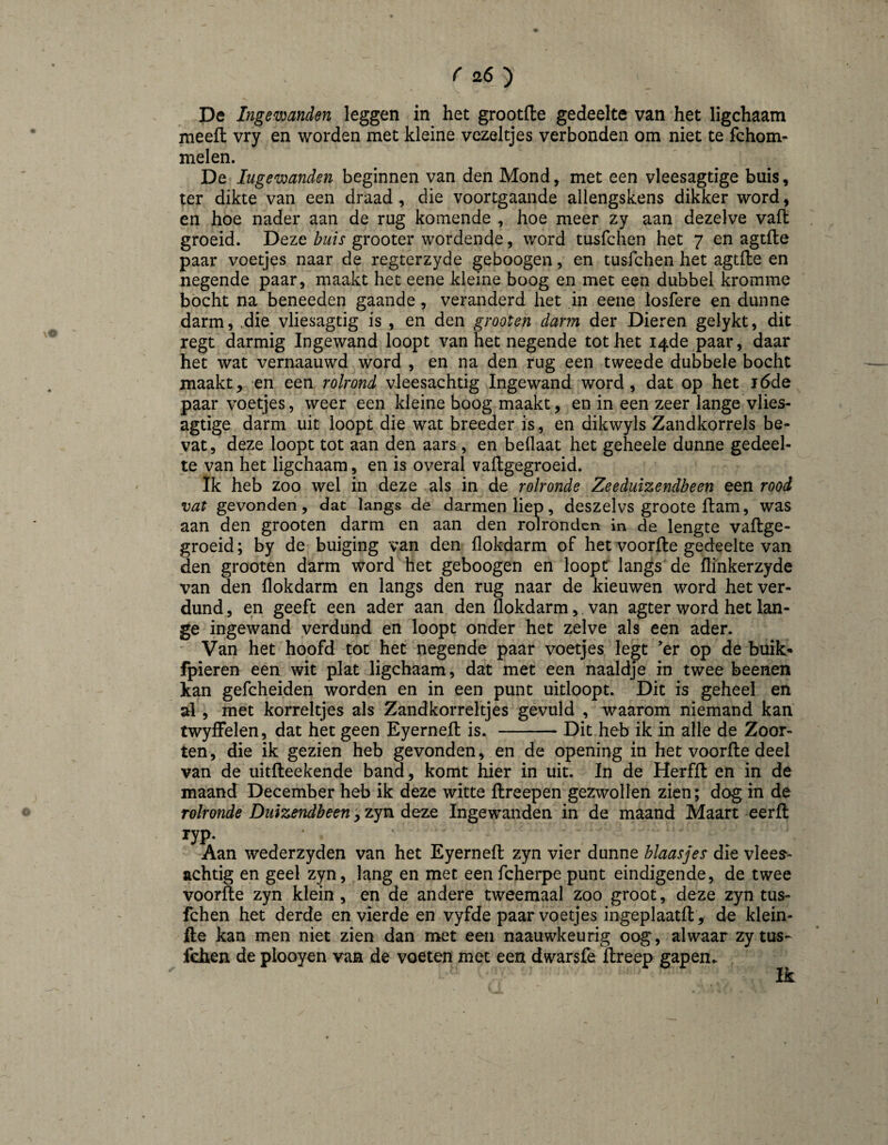 De Ingewanden leggen in het grootfle gedeelte van het ligchaam meelt vry en worden met kleine vezeltjes verbonden om niet te fchom- melen. De Ingewanden beginnen van den Mond, met een vleesagtige buis, ter dikte van een draad , die voortgaande allengskens dikker word, en hoe nader aan de rug komende , hoe meer zy aan dezelve valt groeid. Deze buis grooter wordende, word tusfchen het 7 en agtfte paar voetjes naar de regterzyde geboogen, en tusfchen het agtfte en negende paar, maakt het eene kleine boog en met een dubbel kromme bocht na beneeden gaande, veranderd het in eene losfere en dunne darm, ,die vliesagtig is , en den grooten darm der Dieren gelykt, dit regt darmig Ingewand loopt van het negende tot het 14de paar, daar het wat vernaauwd word , en na den rug een tweede dubbele bocht maakt, en een rolrond vleesachtig Ingewand word , dat op het i6de paar voetjes, weer een kleine boog maakt, en in een zeer lange vlies- agtige darm uit loopt die wat breeder is, en dikwyls Zandkorrels be¬ vat, deze loopt tot aan den aars , en beflaat het geheele dunne gedeel¬ te van het ligchaam, en is overal vaftgegroeid. Ik heb zoo wel in deze als in de rolronde Zeeduizendbeen een rood vat gevonden, dat langs de darmen liep, deszelvs groote ftam, was aan den grooten darm en aan den rolronden in de lengte vaftge¬ groeid ; by de buiging van den flokdarm of het voorfte gedeelte van den grooten darm word het geboogen en loopf langs de flinkerzyde van den flokdarm en langs den rug naar de kieuwen word het ver¬ dund , en geeft een ader aan den flokdarm, van agter word het lan¬ ge ingewand verdund en loopt onder het zelve als een ader. Van het hoofd tot het negende paar voetjes legt ^er op de buik’* fpieren een wit plat ligchaam, dat met een naaldje in twee beenen kan gefcheiden worden en in een punt uitloopt. Dit is geheel en al, met korreltjes als Zandkorreltjes gevuld , waarom niemand kan twyffelen, dat het geen Eyerneft is. -Dit heb ik in alle de Zoor- ten, die ik gezien heb gevonden, en de opening in het voorfte deel van de uitfteekende band, komt hier in uit. In de Herfft en in de maand December heb ik deze witte ftreepen gezwollen zien; dog in de rolronde Duizendbeen y zyn deze Ingewanden in de maand Maart eerft W- Aan wederzyden van het Eyerneft zyn vier dunne blaasjes die vlees^- achtig en geel zyn, lang en met een fcherpe punt eindigende, de twee voorfte zyn klein, en de andere tweemaal zoo groot, deze zyn tus¬ fchen het derde en vierde en vyfde paar voetjes ingeplaatft, de klein- fte kan men niet zien dan met een naauwkeurig oog, alwaar zy tus-^ fchen de plooyen van de voeten met een dwarsfe ftreep gapen^ Ik