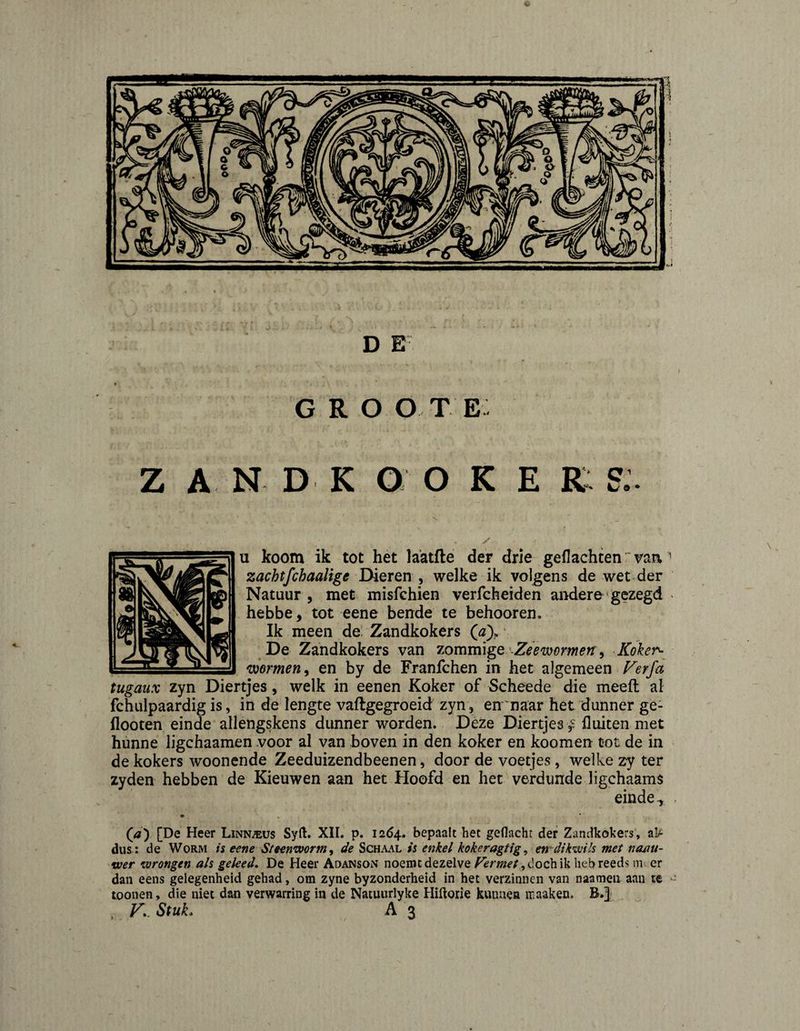 GROOT E Z A N D K O O K E K; S- u koom ik tot het laatfte der drie gedachten vaa ' zachtfchaalige DiQxm ^ welke ik volgens de wet der Natuur , met misfchien verfcheiden andere gezegd hebbe, tot eene bende te behooren. Ik meen de: Zandkokers (0). De Zandkokers van 7.omm\ge'Zee warmen ^ Kokers wermeriy en by de Franfchen in het algemeen Ferfa tugaiix zyn Diertjes, welk in eenen Koker of Scheede die meed al fchulpaardig is, in de lengte vaftgegroeid zyn, en'naar het dunner ge- flooten einde alletigskens dunner worden. Déze Diertjes fluiten met hunne ligchaamen voor al van boven in den koker en koomen tot de in de kokers woonende Zeeduizendbeenen, door de voetjes , welke zy ter zyden hebben de Kieuwen aan het Hoofd en het verdunde ligchaams einde-, [De Heer Linn^us Syft. XII. p. 1264. bepaalt het gedacht der Zandkokers, alA dus : de Worm ii eene Steenworm ^ de ScbAx-^l h enkel kokeragtig^ en'dikwih met naau- wer wrongen als geleed, De Heer Aoanson noemt dezelve doch ik heb reeds m> er dan eens gelegenheid gehad, om zyne byzonderheid in het verzinnen van naamen aau te ' loonen, die niet dan verwarring in de Natuurlyke Hiftorie kunnea maaken. B.J*