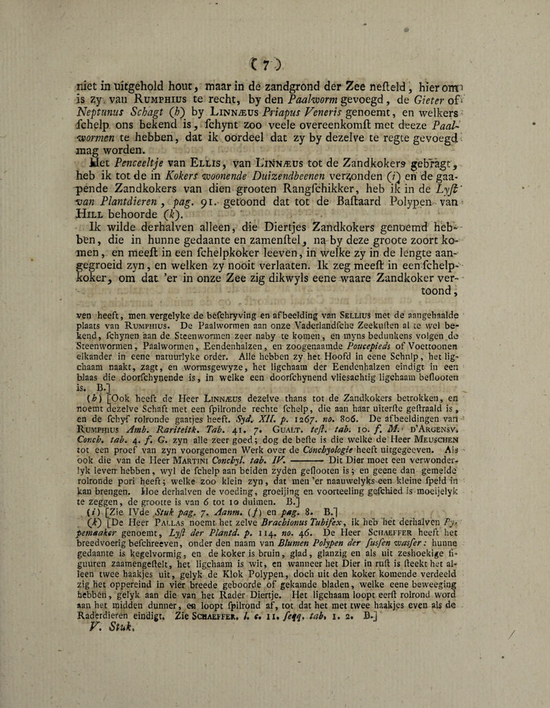 niet in uitgehold hout, maar in dé zandgrond der Zee nefteld, hierora^ is zy\ van Rumphiüs te recht, by den Paalworm gevoegd, de Gieter of* Neptunus Schagt (/?) by Linnaeus Priapus Veneris genoemt, en welkers fchelp. ons bekend is, fchynt zoo veele overeenkomft met deeze Paal¬ wormen te hebben, dat ik oordeel dat zy by dezelve te regte gevoegd-^ mag worden. Het Penceeltje van Ellis , van L'inntEUs tot de Zandkokers gebragt, heb ik tot de in Kokers woonencle Duizendbeenen verbonden (Q en de gaa- 'pende Zandkokers van dien grooten Rangfchikker, heb ik in de Lyfi^ ■van Plantdieren , pag, 91. getoond dat tot de Baftaard Polypen-van ^ Hill behoorde (Ji). Ik wilde derhalven alleen, die Diertjes Zandkokers genoemd héb-* ben, die in hunne gedaante en zamenflel, na by deze groote zoort kom¬ men , en meeft in een fchelpkoker leeven, in welke zy in de lengte aan¬ gegroeid zyn, en welken zy nooit verlaaten. Ik zeg meeft in een fchelp-- koker, om dat. ’er in onze Zee zig dikwyls eene waare Zandkoker ver-' toond; ven heeft, men vergelyke de béfchryving en afbeelding van Sellius met de aangehaalde plaats van Rumphius. De Paalwormen aan onze Vaderlandfche Zeekiilten al te wel be¬ kend, fchynen aan de Stcenwormen zeer naby te komen, en myns bedunkens volgen de Steenwormen, Paalwormen, Eendenhalzen, en zoogenaamde Poticepieds oïVoQiioonQn elkander in eene natuurlyke order. Alle hebben zy het Hoofd in eene Schnlp, het lig- chaam naakt, zagt, en wormsgewyze, het ligchaara der Eendenhalzen eindigt in een bJaas die doorfchynende is, in welke een doorfchynend vliesachtig ligchaam beflooten is. B.] {h) [Ook heeft de Heer Linn^üs dezelve thans tot de Zandkokers betrokken, en noemt dezelve Schaft met een fpilronde rechte fchelp, die aan haar uiterfte gedraald is, en de fchyf rolronde gaatjes heeft. Syd, XII, p. 1267. afbeeldingen van Rumphius Amb, Rariteitk» Tab. 41. 7. Gualt. ieji, tab. 10. f, d’Argensv, Conch, tab, 4. ƒ. G. zyn alle zeer goed; dog de bede is die welke de Heer Meuschen tot een proef van zyn voorgenomen Werk over de Cönchyologie-hQQÏi uitgegecven. Als ^ ook die van de Heer Martini Conch'll, tab, IF, - Dit Dier moet een verwonder- lyk leven hebben, wyl de fchelp aan beiden zyden geflooten is;- en geene dan gemelde rolronde pori heeft; welke zoo klein zyn, dat men’er naauwelyks een kleine fpeld in kan brengen. Hoe derhalven de voeding, groeijing en. voorteeling gefchied Is^moeijelyk te zeggen, de grootte is van 6 tot 10 duimen. B.} (/) [Zie IVde Stuk pag. 7. Aanm, (/) en pag. 8. B.*] (D [De Heer Pallas noQmt\iQi zqXwq Bracbionus Tubifex^ ik helj'het derhalven/'j- pemaaker genoemt, Zy/? der Plantd. p. 114. no. 46. De Heer Schaeffer heeft het breedvoerig befchreeven, onder den naam van Blumen Polypen der fmfen zvasfer: hunne gedaante is kegelvormig, en de koker is bruin, glad, glanzig en als uit zeshoekige fi* guuren zaamengeftelt, het ligchaam is wit, en wanneer het Dier in rud is deekt het al¬ leen twee haakjes uit, gelyk de Klok Polypea, doch uit den koker komende verdeeld zig het oppereind in vier breede geboorde of gekamde bladen, welke eene beweeging hebben, gelyk aan die van het Rader Diertje. Het ligchaam loopt eerd rolrond word aan het midden dunner, en loopt fpilrond af, tot dat het met twee haakjes even als de - Raderdieren eindigt. Zie Schaeffer, /. lu feqq, tab% ï, 2. B.] V. Stuk, /