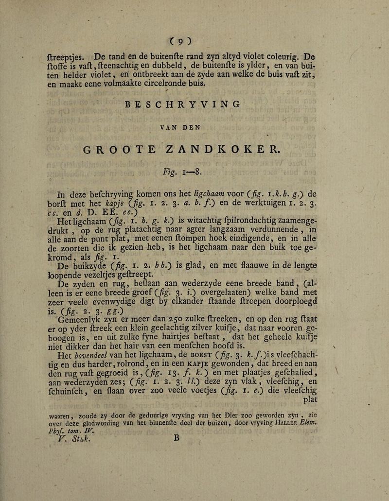 flreeptjes. De tand en de buitenfle rand zyn altyd violet coleurig. De flofFe is vaft, fteenachtig en dubbeld, de buitenfle is ylder, en van bui¬ ten helder violet, en ontbreekt aan de zyde aan welke de buis vaft zit, en maakt eene volmaakte circelronde buis. BESCHRYVING VAN DEN GROOTEZAND KOKER. Fig. 1—8. » ' In deze befchryving komen ons het ligcbaam voor (fig, i.Lh, g.) de borft met het kapje (fig. i, 2, 3. a, b. ƒ.) en de werktuigen i. 2. 3. cc, en d. D. EE. ee,^ Het ligchaam (i. h, g, k,j is witachtig fpilrondachtig zaamenge- drukt , op de rug platachtig naar agter langzaam verdunnende , in alle aan de punt plat, met eenen ftompen hoek eindigende, en in alle de zoorten die ik gezien heb, is het ligchaam naar den buik toe ge¬ kromd, als fig. I. De buikzyde (fig. i. 2. hb,') is glad, en met flaauwe in de lengte loopende vezeltjes geftreept. De zyden en rug, beflaan aan wederzyde eene breede band, (al¬ leen is er eene breede groef 3. 2.) overgelaaten) welke band met zeer veele evenwydige digt by elkander ftaande ftreepen doorploegd is. (fig. 2. 3. ^^0 'Gemeenlyk zyn er meer dan 250 zulke ftreeken, en op den rug ftaat er op yder ftreek een klein geelachtig zilver kuifje, dat naar vooren ge- boogen is, en uit zulke fyne hairtjes beftaat , dat het geheele kuifje niet dikker dan het hair van een menfchen hoofd is. v Het bovendeel van het ligchaam, de borst (fig, 3. k,f.fis vleefchach- tig en dus harder, rolrond, en in een kapje gewonden, dat breed en aan den rug vaft gegroeid is ^ (fig. 13. ƒ. ) en met plaatjes gefchalied, \ aan wederzyden zes; (fig. i. 2. 3. //.) deze zyn vlak, vleefchig, en fchuinfch, en (laan over zoo veele voetjes (fig. i. e.j die vleefchig plat waaren, zoude zy door de geduurige vryving van het Dier zoo geworden zyn , zie over deze gladwording van het binnenfte deel der buizen, door vryving Haller Ekm. Phyf. torn, IF. V. Stuk. B