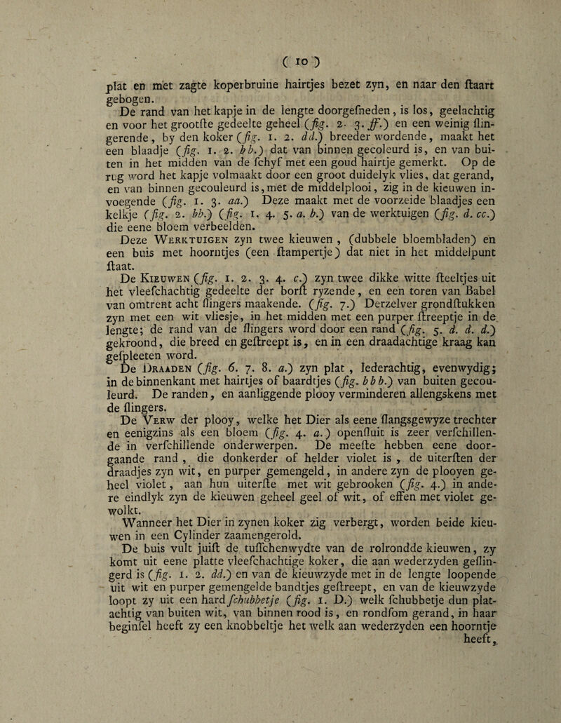 plat en met zagte koperbruine hairtjes bezet zyn, en naar den ftaart gebogen. De rand van het kapje in de lengte doorgefneden, is los, geelachtig en voor het grootfte gedeelte geheel (fig. 2- 3. ff.} en een weinig flin- gerende, by den koker i. 2. dd.) breeder wordende, maakt het een blaadje ffig. i. 2. bh.) dat van binnen gecoleurd is, en van bui¬ ten in het midden van de fchyf met een goiid hairtje gemerkt. Op de rug word het kapje volmaakt door een groot duidelyk vlies, dat gerand, en van binnen gecouleurd is,met de middelplooi, zig in de kieuwen in¬ voegende {fig. I. 3- ^^0 Deze maakt met de voorzeide'blaadjes een kelkje (fig. 2. bb.) (fig. i. 4. 5. a. ,b.) van de werktuigen (fig. d. cc.) die eene bloem verbeelden. Deze Werktuigen zyn twee kieuwen , (dubbele bloembladen) en een buis met hoorntjes (een llampertje) dat niet in het middelpunt flaat. De Kieuwen (^fig. i. 2. 3. 4. c.) zyn twee dikke witte fleeltjes uit het vleefchachtig gedeelte der boril ryzende, en een toren van Babel van omtrent acht flingers maakende. (fig. 7.) Derzelver grondflukken zyn met een wit vliesje, in het midden met een purper flreeptje in de lengte; de rand van de flingers word door een rand (fig. 5. d. d. d.) gekroond, die breed en geflreept is, en in een draadachtige kraag kan gefpleeten word. De Draaden (fig. 6. 7. 8. a.) zyn plat , lederachtig, evenwydig; in de binnenkant met hairtjes of baardtjes (fig^ bbb.) van buiten gecou¬ leurd. De randen, en aanliggende plooy verminderen allengskens met de {lingers. De Verw der plooy, welke het Dier als eene flangsgewyze trechter en eenigzins als een bloem (fig. 4. a.) openfluit is zeer verfchillen- de in verfchillende onderwerpen. De meefhe hebben eene door¬ gaande rand , die donkerder of helder violet is , de uiterften der draadjes zyn wit, en purper gemengeld, in andere zyn de plooyen ge¬ heel violet, aan hun iiiterfte met wit gebrooken (fig. 4.) in ande¬ re eindlyk zyn de kieuwen geheel geel of wit, of effen met violet ge¬ wolkt. Wanneer het Dier in zynen koker zig verbergt, worden beide kieu¬ wen in een Cylinder zaamengerold. De buis vult juifl de tuffchenwydte van de rolrondde kieuwen, zy komt uit eene platte vleefchachtige koker, die aan wederzyden geflin- gerd is (fig. i. 2. dd.) en van de kieuwzyde met in de lengte loopende uit w’it en purper gemengelde bandtjes geflreept, en van de kieuwzyde loopt zy uit etnWaxdfchiibbetje (fig. i. D.) welk fchubbetje dun plat¬ achtig van buiten wit, van binnen rood is, en rondfom gerand, in haar beginfel heeft zy een knobbeltje het welk aan wederzyden een hoorntje heeft,^