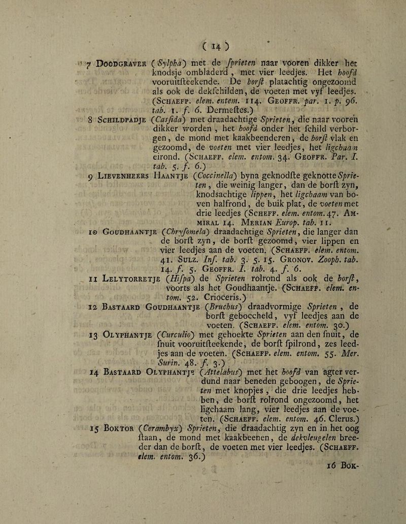(14) 7 Doodgraver ( Sylpha') met de fpHeten naar vooren dikker bet knodsje ombladerd , met vier leedjes. Het hoofd vooruitfleekende. De korjl platachtig ongezoonid als ook de dekfchilden, de voeten met vyf leedjes. (ScHAEFP. elem. entem, 114. Geoffr. par, 1, p, 96. tab, I. ƒ. 6. Dermefles.) 8 Schildpadje QCasJida} met draadachtige die naar vooren dikker worden , het hoofd onder het fchild verbor¬ gen , de mond met kaakbeenderen, de borft vlak en gezoomd, de voeten met vier leedjes, het ligchaa.'n eirond. (Schaeff. elem, entorn, 34. Geoffr. Par, I, tab. 5. ƒ. 6.) 9 Lievenheers Haantje byna geknodfte geknotte ten , die weinig langer, dan de borfl zyn, knodsachtige lippen^ het Ugchaamv^n bo¬ ven halfrond , de buik plat, de voeten met drie leedjes (Scheff. elem, entom.ógj, Am- miral 14. Merian Eiirop, tab. ii. I© Goudhaantje QChryfomela) draadachtige die langer dan > de borft zyn, de borft gezoomd, vier lippen en vier leedjes aan de voeten. (Schaeff. elem, entom. 41. SuLZ. Inf tab. 3. 5. 15. Gronov. Zooph. tab. 14. ƒ. 5. Geoffr. I. tab. 4. ƒ. 6. 11 Lelytorretje QHifpa') de Sprieten rolrond als ook de borft ^ voorts als het Goudhaantje. (Schaeff. elem. en¬ tom. 52. Crioceris.) 12 Bastaard Goudhaantje QBruchus') draad vormige Sprieten , de borft geboccheld, vyf leedjes aan de voeten. (Schaeff. elem, entom. 30.) 13 Olyphantje (Curculio') met gehoekte Sprieten aandenfnuit, de fnuit vooruitfteekende, de borft fpilrond, zes leed¬ jes aan de voeten. (Schaeff. elem. entom. 55. Mer, Surin. '48./. 30 14 Bastaard Olyphantje QAttelabiis) met het hoofd van agter ver¬ dund naar beneden geboogen, de Sprie¬ ten met knopjes , die drie leedjes heb¬ ben, de borft rolrond ongezoomd, het ligchaam lang, vier leedjes aan de voe¬ ten. (Schaeff. elern. entom, 46. Clerus.) 15 Boktor QCeramhyx) Sprieten^ die draadachtig zyn en in het oog ftaan, de mond met kaakbeenen, de dekvleupelen bree¬ der dan de borft, de voeten met vier leedjes. (Schaeff. elem. entom. 36.) 16 Bok-