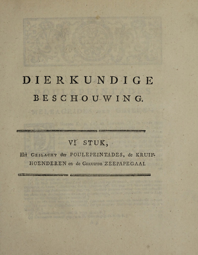 / DIE R KUN Dl GE b ; E S C H Ö Ü- W I N & 'iOJMi—ff mxrtaasasBwsigmm ; VI STUK, ^ HeF Geslacht- der POÜLEPEINTADES,'de KRUIER E 0 E N D E R E N en de Gekuifde Z E E PA P E GAAL