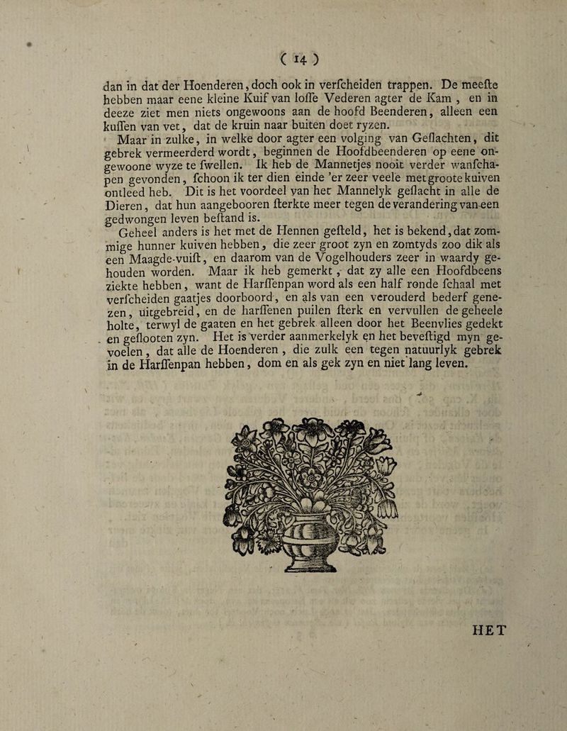 dan in dat der Hoenderen, doch ook in verfcheiden trappen. De meefle hebben maar eene kleine Kuif van loffe Vederen agter de Kam , en in deeze ziet men niets ongewoons aan de hoofd Beenderen, alleen een kuflen van vet, dat de kruin naar buiten doet ryzen. Maar in zulke, in welke door agter een volging van Gedachten, dit gebrek vermeerderd wordt, beginnen de Hoofdbeenderen op eene on- gewoone wyze te fwellen. Ik heb de Mannetjes nooit verder wanfcha- pen gevonden, fchoon ik ter dien einde ’er zeer veele metgrootekuiven ontleed heb. Dit is het voordeel yan her Mannelyk gedacht in alle de Dieren, dat hun aangebooren fterkte meer tegen de verandering vaneen gedwongen leven beftand is. Geheel anders is het met de Hennen gefield, het is bekend,dat zom- mige hunner kuiven hebben, die zeer groot zyn en zomtyds zoo dik ais een Maagde-vuifl, en daarom van de Vogelhouders zeer in waardy ge¬ houden worden. Maar ik heb gemerkt ,* dat zy alle een Hoofdbeens ziekte hebben, want de Hardenpan word als een half ronde fchaal met verfcheiden gaatjes doorboord', en als van een verouderd bederf gene¬ zen, üitgebreid*, en de hardenen puilen flerk en vervullen de geheele holte, terwyl de gaaten en het gebrek alleen door het Beenvlies gedekt €11 gedooten zyn. Het is verder aanmerkeiyk en het bevefligd myn ge¬ voelen , dat alle de Hoenderen , die zulk een tegen natuurlyk gebrek in de HarlTenpan hebben, dom en als gek zyn en niet‘lang leven. HET
