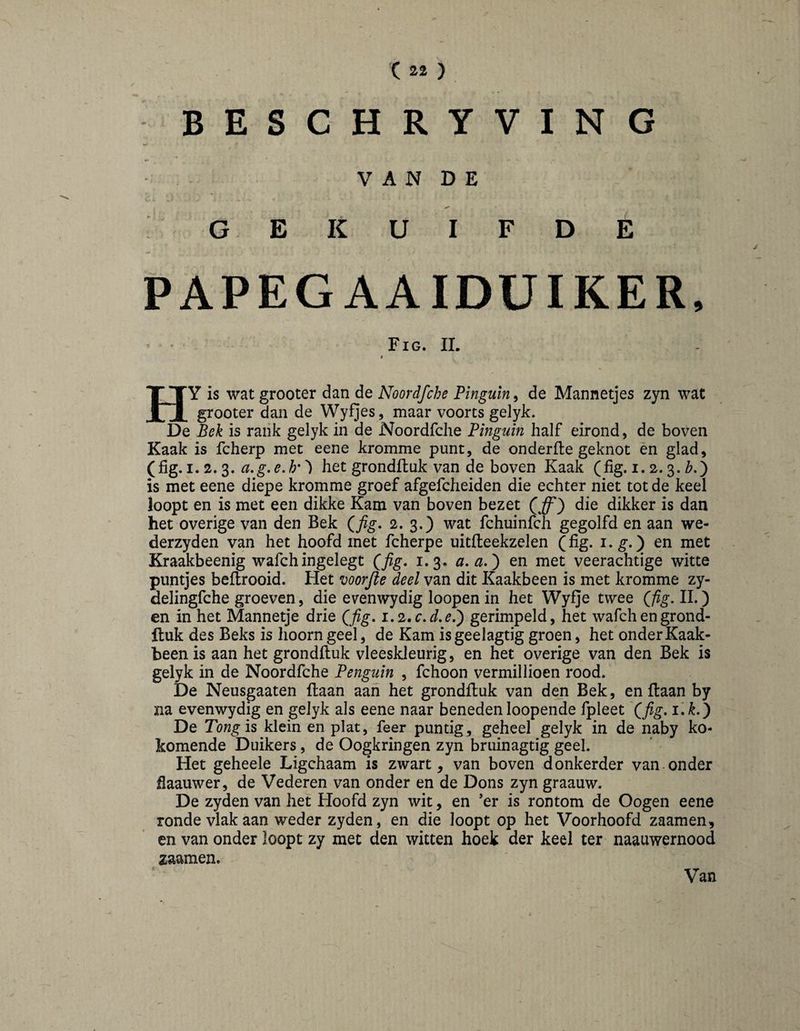 BESCHRYVING V A N D E GEKUIFDE PAPEGAAIDÜIKER. Fig. II. i HY is wat grooter dan de Noordfche Pinguïn, de Mannetjes zyn wat grooter dan de Wyfjes, maar voorts gelyk. De Bek is rank gelyk in de Noordfche Pinguïn half eirond, de boven Kaak is fcherp met eene kromme punt, de onderlle geknot èn glad, (fig. 1.2.3. het grondftuk van de boven Kaak (fig. i. 2.3. Z».) is met eene diepe kromme groef afgefcheiden die echter niet tot de keel loopt en is met een dikke Kam van boven bezet (^) die dikker is dan het overige van den Bek (/^. 2. 3.) wat fchuinfch gegolfd en aan we- derzyden van het hoofd met fcherpe uitfleekzelen (fig. i.^.) en met Kraakbeenig wafchingelegt 1.3* a, a.^ en met veerachtige witte puntjes beflrooid. Het voorjle deel van dit Kaakbeen is met kromme zy- delingfche groeven, die evenwydig loopen in het Wyfje twee (j^^. II.) en in het Mannetje drie (fig, i,2.c,d,e,') gerimpeld, het wafch engrond- Ituk des Beks is hoorn geel, de Kam isgeelagtig groen, het onder Kaak¬ been is aan het grondftuk vleeskleurig, en het overige van den Bek is gelyk in de Noordfche Penguin , fchoon vermillioen rood. De Neusgaaten liaan aan het grondfluk van dim Bek, en Haan by ïia evenwydig en gelyk als eene naar beneden loopende fpleet '(fig, i,k.^ De is klein en plat, feer puntig, geheel gelyk in de naby ko- komende Duikers, de Oogkringen zyn bruinagtig geel. Het geheele Ligchaam is zwart, van boven donkerder van onder flaauwer, de Vederen van onder en de Dons zyn graauw. De zyden van het Hoofd zyn wit, en ’er is rontom de Oogen eene ronde vlak aan weder zyden, en die loopt op het Voorhoofd zaamen, en van onder loopt zy met den witten hoek der keel ter naauwernood zaamen. Van
