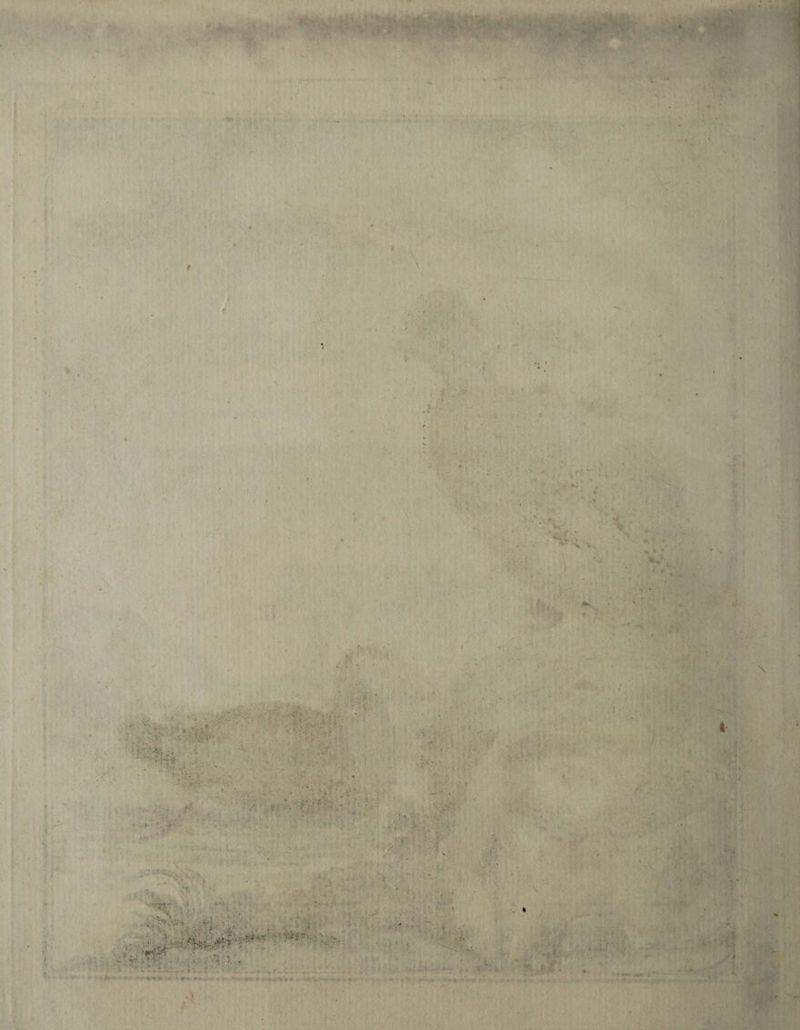 'H V <-v’ '^l^ r- r fcA I r > y f ' ' . i- i' } ' < • '* ■■*,■ ' ■'• 5 • I •; r; 9 \. ; •r- r V ■- ' ' - '■ - - ■; ■ r ■• : .‘' ■V? ' ■j;’ . .’' ‘ •: ... . - . -I'i^ •■, • ■ ; ■ ..u, j, , ■• . ' '.' . , ' ■ ,.'... --■ . V .. ■,;!• .S4 th.: . t (.. ■ . >•' ■ 'i;' 't %’ Vh ' '' ’« ■ '■ '■ i, -r.- '• J I,.: ..Vr 'fin;,:,.'. ■{0, ■' iV ^ s : - \ '.\.f ■ i .,< • -•- C'.- ■ ■• .u >■'. ■ A./- ■■;■' ■ . ' ‘ » '■ . • ' • . ^ . -A • ■• ; vlvr ■ . • -. * • ''x; >. - ?-j;. ■ • A- .'-r •■• v*'> -'•■-- ^ • •. .'•*••■ pi, ’ ' .i.- J • ■ ■ * - -... ^.;;,i .. .. . ,1 ... I - r-- , '■ \\ ,. x i.rf.., r . •« . .. •. 5'' V •• -: . ■ 'V >• ■•• » ’‘'•'t'V ' -. * . V ; 'W '-A ^ ' . n-i - • V > ‘ ’'^3 i-’V ' u. I • ■ j 4* • •• • - .-/é 'i \