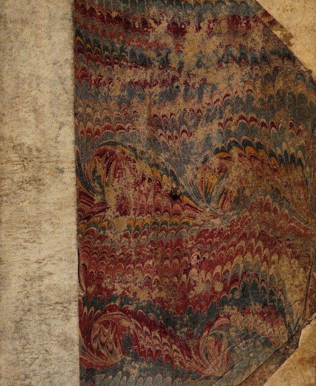 No text description is available for this image