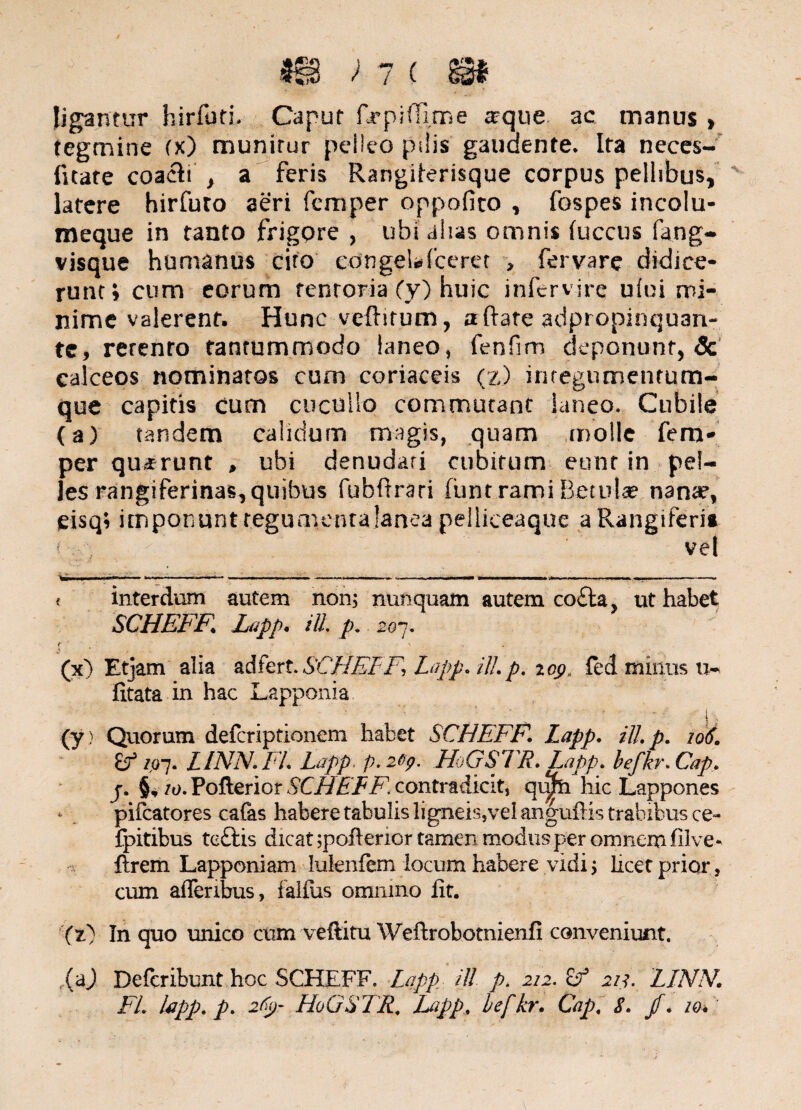ligantur hirfuti. Caput f.rp illime tcque ac manus , tegmine (x) munitur pelleo pilis gaudente. Ita neces- fitate coacfi , a feris Rangiierisque corpus pellibus, latere hirfuto aeri fcmper oppofito , fospes incolu- meque in tanto frigore , ubi ahas omnis luccus fang- visque humanus cito congelafcerct , fervare didice¬ runt; cum eorum tentoria (y) huic infervire u(ui mi¬ nime valerent. Hunc veftitum, aftare adpropinquan- te, retento tantummodo laneo, fenfim deponunt, 3c calceos nominatos cum coriaceis (z) iruegumentum- que capitis cum cucullo commutant laneo. Cubile (a) tandem calidum magis, quam molle fem- per quirunt , ubi denudari cubitum eunt in pel¬ les rangiferinas, quibus fubftrari fiant rami Betula» nante, eisq» imponunttegumentajaneapelliceaque aRangiferi» vel - ■ ■ —-T, !'■— V—» — —« ■„ .... t interdum autem non, nunquam autem co£la, ut habet SCHEFF* Lapp. ilL p. 207. t r \ ^ y jji' (x) Etjam alia ad fert. SCHEFF, Lapp. ili. p, 109* fed minus u- litata in hac Lapponia (y) Quorum deferiptionem habet SCHEFF. Lapp. ili, p. 106. /07. LINN.FL Lapp p. 20?. HoGSTR. Lapp. befkr. Cap. j. §, 10. Pofterior SCHEFF1 contradicit, qiifh hic Lappones pifcatores cafas habere tabulis ligneis,vel anguftis trabibus ce» fpitibus teftis dicat spofterior tamen modus per omnem filve* ftrem Lapponiam lulenfem locum habere vidi > licet prior, cum afleribus, f alliis omnino lit. (z) In quo unico cum veftitu Weftrobotnienfi conveniunt. (aj Defcribunt hoc SCHEFF. Lapp ili p. 212. £f 211. LINN.