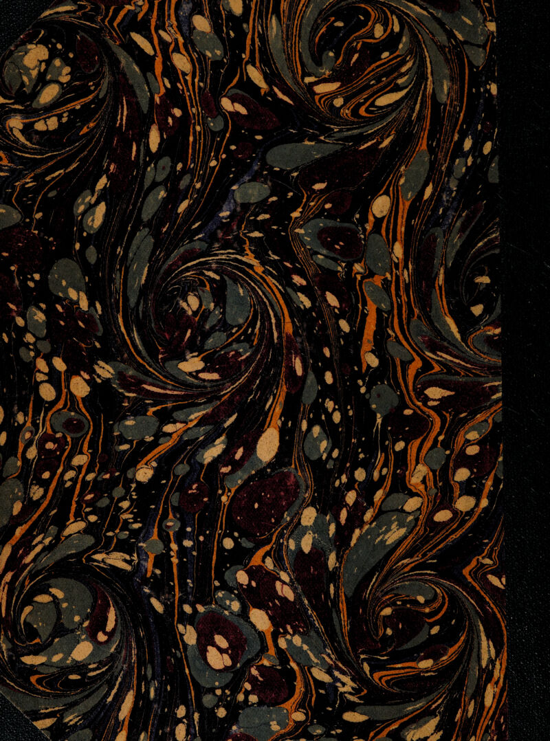 Ii 1 oB ' imm mlWEWKjp■*£ >4 \ wlyL \ ” BLjm wlmlPItti ■ Jr jPvi ''' \m > wnSiL^ fafl |U ; MTWglft %F liv.^ 19! |tlpj^B9filLM