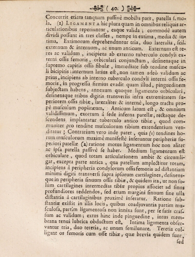 V (j4gO ^92** Concurrit etiara tanquam paffive mobilis pars, patella f.mo» la. (z) L i g a m e n t a hic plura quam in omnibus reliquis ar¬ ticulationibus reperiunttir , eaque valida ; commode autem dividi poliunt in tres clades , nempe in extima , media Sc in¬ tima. Extimorum deprehenduntur tria, duo lateralia, fcil. externum Sc internum, ac unum anticum. Externum ed te- les ac validum , incipiens ab externo tuberculo condyli ex- rerni odis femoris , orbiculari conjundlum , deiinensque in lupremo capitis offis fibula? , immediate iub tendine mufcu- li bicipitis:internum latius ed,non tamen adeo validum ac prius, incipiens ab interno tuberculo condyli interni odis de¬ molis, in progredu firmius evadit quam illud, pinguedinem lubjedam habens, annexum quoque ligamento orbiculari, deiinensque tribus digitis transveilis infra extremitatem fu- pe r iere rn offis tibia?, Iateraliter Sc interne , longo traclu pro¬ pe mufcuium poplicasum, Anticum latum ed , Sc omnium validiffimum, exortum a fede inferna patella, rccdaqtie de- fcendens implantatur tuberculo antico tibia: , quod com¬ muniter pro tendine mulcuiorum tibiam extendentium ven- ditatu i * Contrarium vero inde paret , quia (i) tendines ho- mm mulcuiorum maxime manifede inferuntur peripheria? fu- peiiori patella (z) ratione motus ligamentum hoc non aliter ac ipfa patella paffive fe habet. Medium ligamentum ed orbiculare , quod totam articulationem ambit Sc circumli- gar, excepta parte antica , qua patellam amplectitur totam, incipiens a peripheiia condylorum offis femoris ad didantiam minimi digiti rransverh fupra ipforum cartilagines, definens- que in peripheria finuum offis tibia:, Sc quidem ita, ut non (o- lum cartilagines intermedias tibia? propius adociet ad finus profundiores reddendos, fed etiam margini finuum fine ulla didantia a-cartilaginibus proxime inferatur. Ratione ffib- ifantia? exidit in illis locis, quibus coadjuvantia partirn mu- fculofa, parthn ligamentofa non innixa funt,per fe fatis craf. ium ac validum; extus hinc inde pinguedine , intus mem- orana tenui lubrica obdu£fcum ed. Intima ligamenta obfer- vantur tria, duo teretia, ac unum femilunare. Teretia col- ligant os femoris cum offe tibia? 5 qua? brevia quidem funt