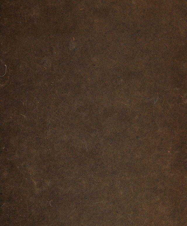 digitised image 1