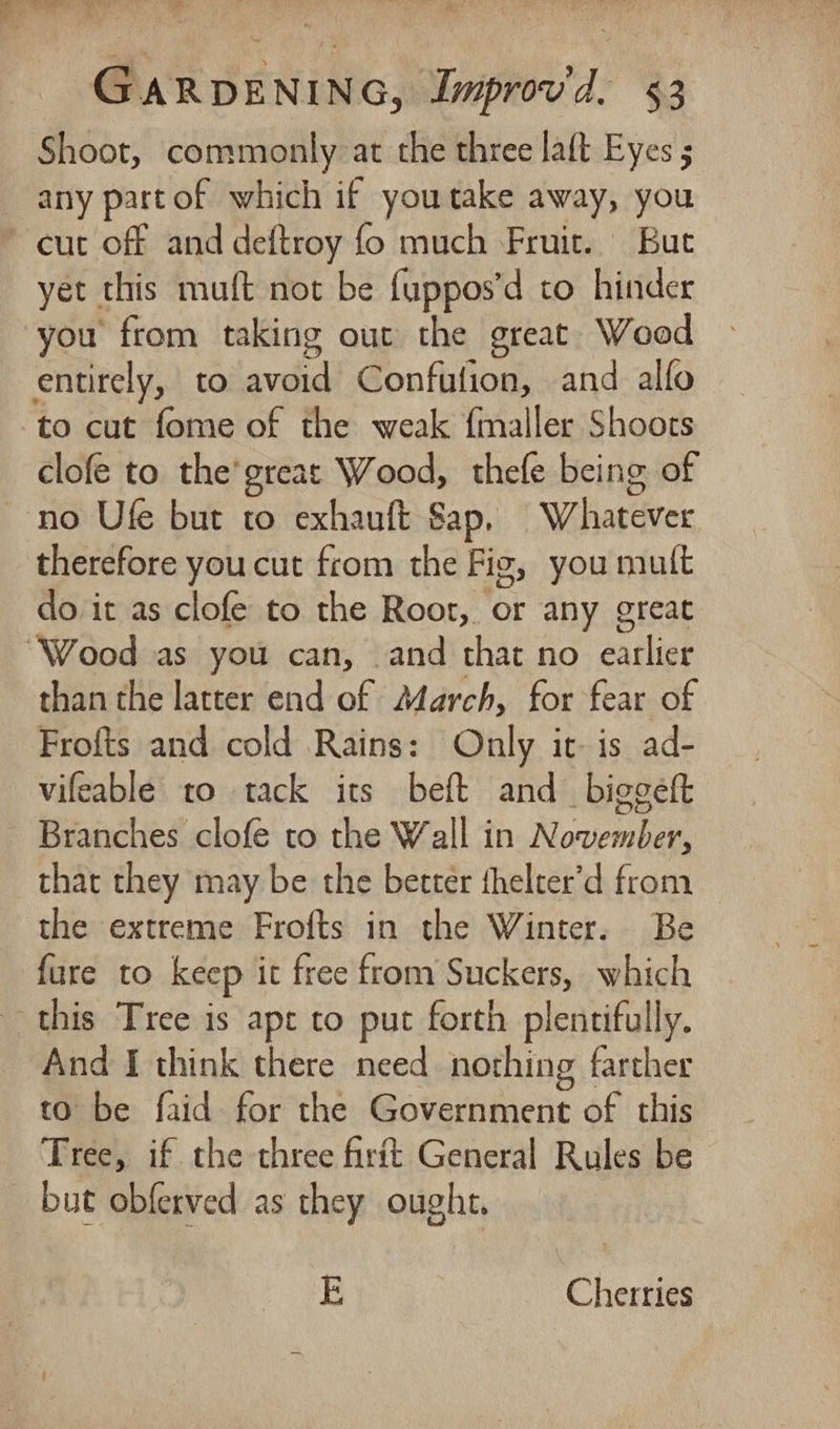 a i Bh j GARDENING, Improvd. 53 Shoot, commonly at the three laft Eyes ; any partof which if youtake away, you * cut off and deftroy fo much Fruit. But yet this muft not be {uppos’d to hinder you from taking out the great Wood entirely, to avoid Confution, and alfo to cut fome of the weak {maller Shoots clofe to the’ great Wood, thefe being of no Ufe but to exhauft Sap, Whatever therefore you cut from the Fig, you mutt do. it as clofe to the Root, or any great “Wood as you can, and that no earlier than the latter end of March, for fear of Frofts and cold Rains: Only it: is ad- vifeable to tack its beft and_biggeft Branches clofe to the Wall in November, that they may be the better thelter’d from the extreme Frofts in the Winter. Be fure to keep it free from Suckers, which this Tree is apt to put forth plentifully. And I think there need nothing farther to be faid for the Government of this Tree, if the three firtt General Rules be _ but obferved as they ought. E Cherries