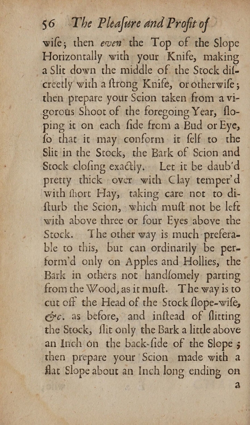 wife; then even’ the Top of the Slope Horizontally with your Knife, making -aSlic down the middle of the Stock dif- creetly with a {trong Knife, or otherwile; then prepare your Scion taken from a vi- gorous Shoot of the foregoing Year, flo- ping it on each fide from a Bud or Eye, fo that it may conform it felf to the Slit'in the Stock, the Bark of Scion and Stock clofing exadly.. Let it be daub’d_ pretty thick over with Clay temper'd with fhorte Hay, taking care not to di- fturb the Scion, which muft not be left with above three or four Eyes above the © Stock. The other way is much prefera- dle to this, but can ordinarily be per- form’d only on Apples and Hollies, the Bark in others not handfomely. parting from the Wood, as it muft. The way is to cut off the Head of the Stock flope-wife, ec. as before, and inftead of flitting the Steck, flit only the Bark a little above an Inch on the back-fide of the Slope 5 then prepare your Scion made with a. flac Slope about an Inch long ending on : a