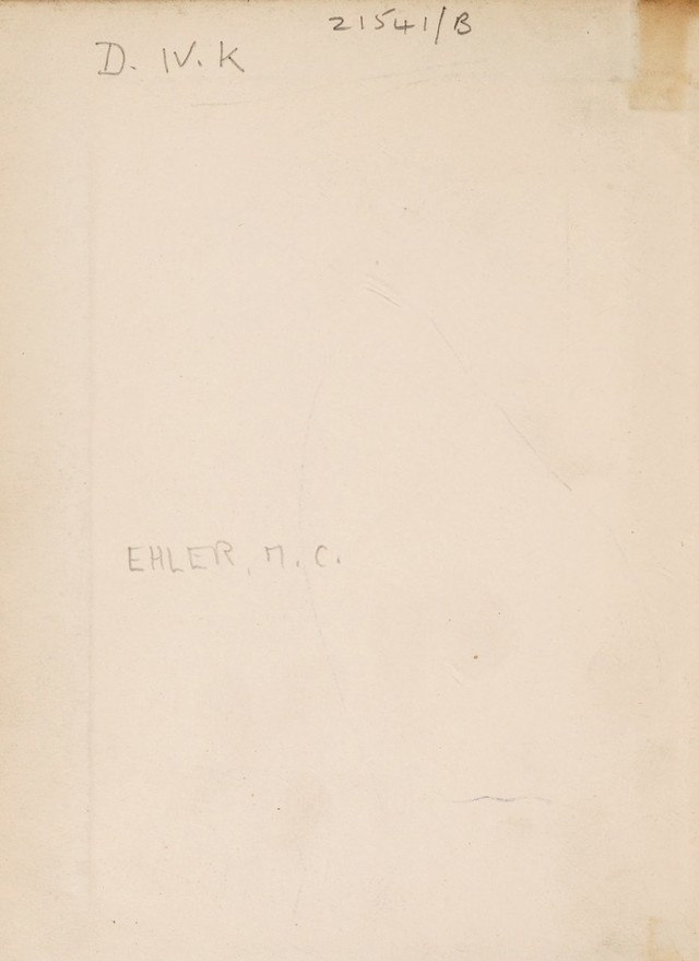 digitised image 2