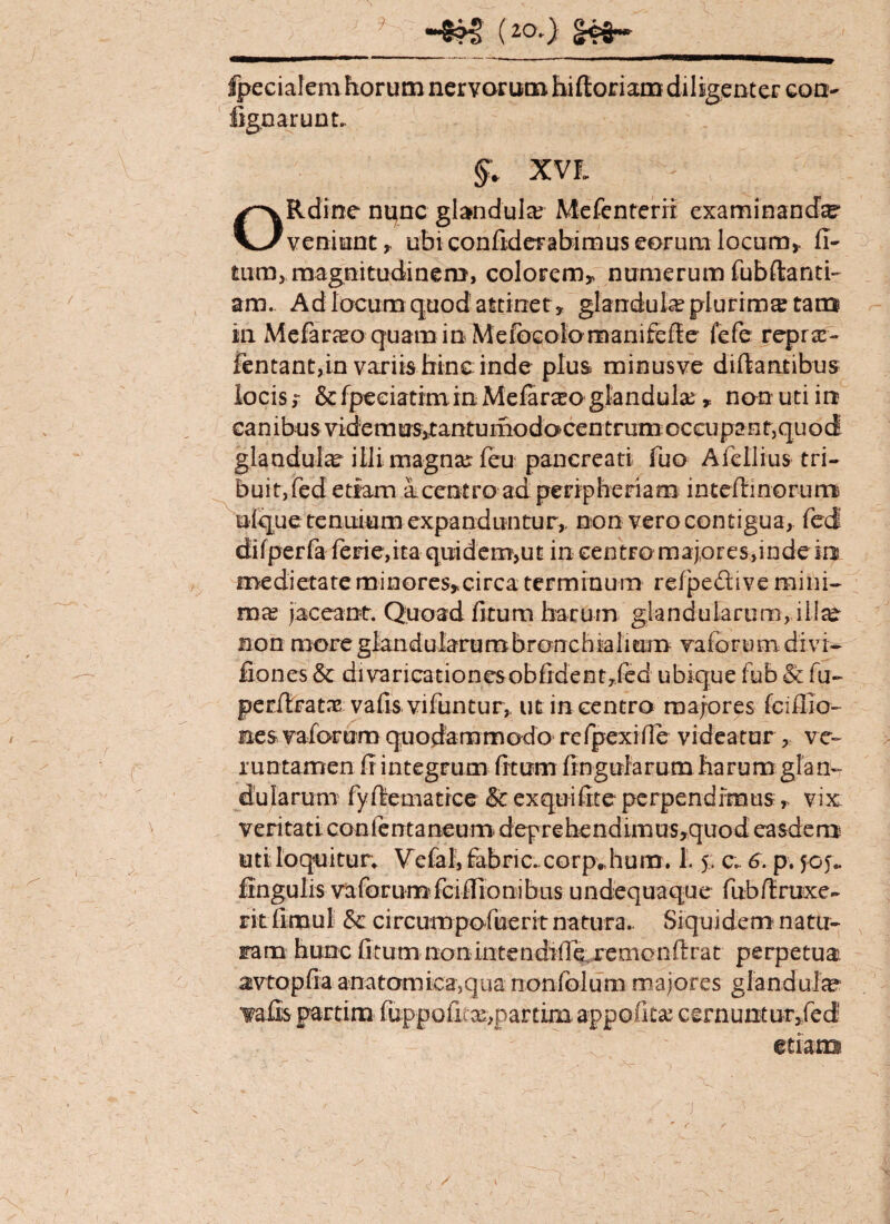 4 C2a) c&H* fpecialemhorum nervorum hiftoriam diligenter coa- fignarunt. §* XVI Rdine nunc glandula Mefenterrr examinanda veniunt * ubi confiderabimus eorum locum* fi- tum, magnitudinem, colorem* numerum fubftanti- am. Ad locum quod attinet * glandula? plurima tam in Mefarceo quamin Mefocolomanifefie fefe reprse- lentant,in variis bine inde plus minusve difiantibus locis* &fpeeiatiminMefara?o glandula * non uti in canibus videmuSitantumodocenmim occupant,quod glandulae illi magna: feu pancreati fuo Afellius tri¬ buit,fed etiam a centro ad peripheriam inteftinorum ulque tenuium expanduntur* non vero contigua, fed difperfa ferie,ita quidem,ut in centro majores,inde in medietateminores*circa terminum refpe&ive mini¬ ma? jaceant. Quoad litum harum glandularum, illae non more glandularum bronchialium vaforumdivi* fiones & divaricationesobfidentyfed ubique fub & fu~ perilratne vafis vifuntur,, ut in centro majores fciffio- nes vaforum quodammodo refpexiffe videatur , ve- runtamen fi integrum ficum fingularum harum glan¬ dularum fyftematrce & exquifite perpendimus * vix: veritati confentaneum deprehendimus,quod easdem uti loquitur* Vefal, fabnc. corp.,hum. 1.5, c; 6. p. 505. lingulis va forum fcifilonibus undequaque fubfiruxe- ritfimui & circum pofuerit natura.. Siquidem natu¬ ram hunc litumnondntendi-f^jrirjonftrat- perpetua avtopfiaanatomica,qua nonfolum majores glandula? vafis partim fuppoficx,partim appofita? cernuntur,fed ^ '■ r etiam