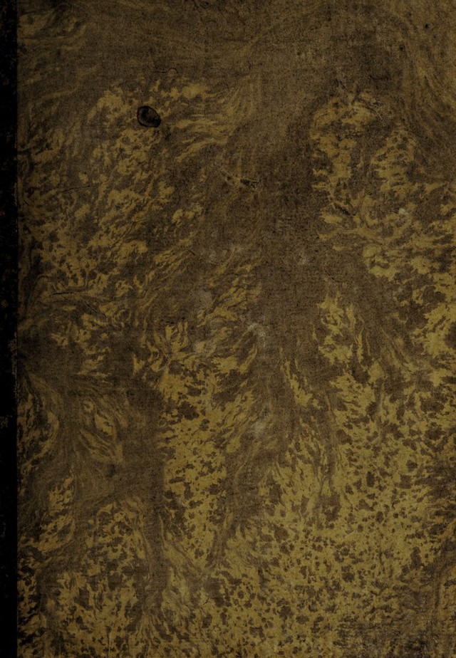 digitised image 1