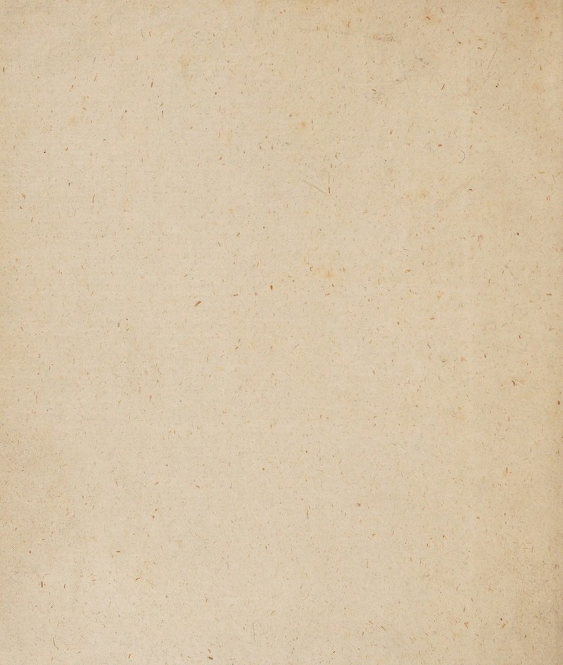 i 'N l / v V l * I / Y » i 7 ' I f i r . A / . i* \ V \ %■ a f s ) 'r 1 \ * t * # / A ■ ■/ ,i t . i > N . > r . i -- r \ fi i x X. t l / i; * \ V. / #s > 1 V i * V V \ L i i \ \ ! ■ H \ X ' A ' c (