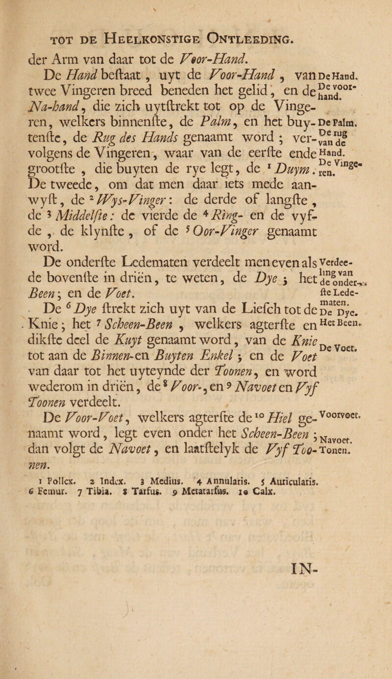 \ TOT DE HeELKONSTIGE OntLEEDïNG. der Arm van daar tot de Feor-Hand. De/ifci beftaat, uyt de Foor -Hand , van De Hand. twee Vingeren breed beneden het gelid, en de}^001* Na-hand, die zich uytftrekt tot op de Vinge¬ ren , welkers binnenfte, de Palm 9 en het buy- De palm. tenftc, de Rug des Hands genaamt word ; ver-J^f volgens de Vingeren, waar van de eerfte endeHand- grootfte , die buyten de rye legt, de 1 Duym. ^n.Vinse* De tweede, om dat men daar iets mede aan- wyft, de 2 EFys-Finger: de derde of langfte , de 3 Middel ft e: dc vierde de 4 Ring- en de vyf- de , de klynfte , of de 5 Oor-Finger genaamt word. De onderfte Ledematen verdeelt men even als verdee- de bovenile in driën, te weten, de Dye j het deinden, Been; en de Foet. Lede- De 6 Dye ftrekt zich uyt van de Liefch tot de Dfnye. -Knie; het i Scheen-Been , welkers agterfte enHetBeen* dikfte deel de Kuyt genaamt word, van de KnieDeYott tot aan de Binnenin Buyten Enkel j en de Foet van daar tot het uyteynde der Eounen9 en word wederom in driën, de8 F oor ^ en 9 Navoet en Fyf !foonen verdeelt. De Foor-Foet, welkers agterfte de10 Hiel ge-Voorvoct9 naamt word, legt even onder het Scheen-Been ; Nayoef dan volgt de Navoet, en laatftelyk de FyfEoo- Tonen.’ nen. i PoIIcx. 2 Index. 3 Medius. 4 Annularis. 5 Aurïcularis. 6 Eemur. 7 Tibia. S Tarfus. 9 Metataifus. 10 Calx. IN-