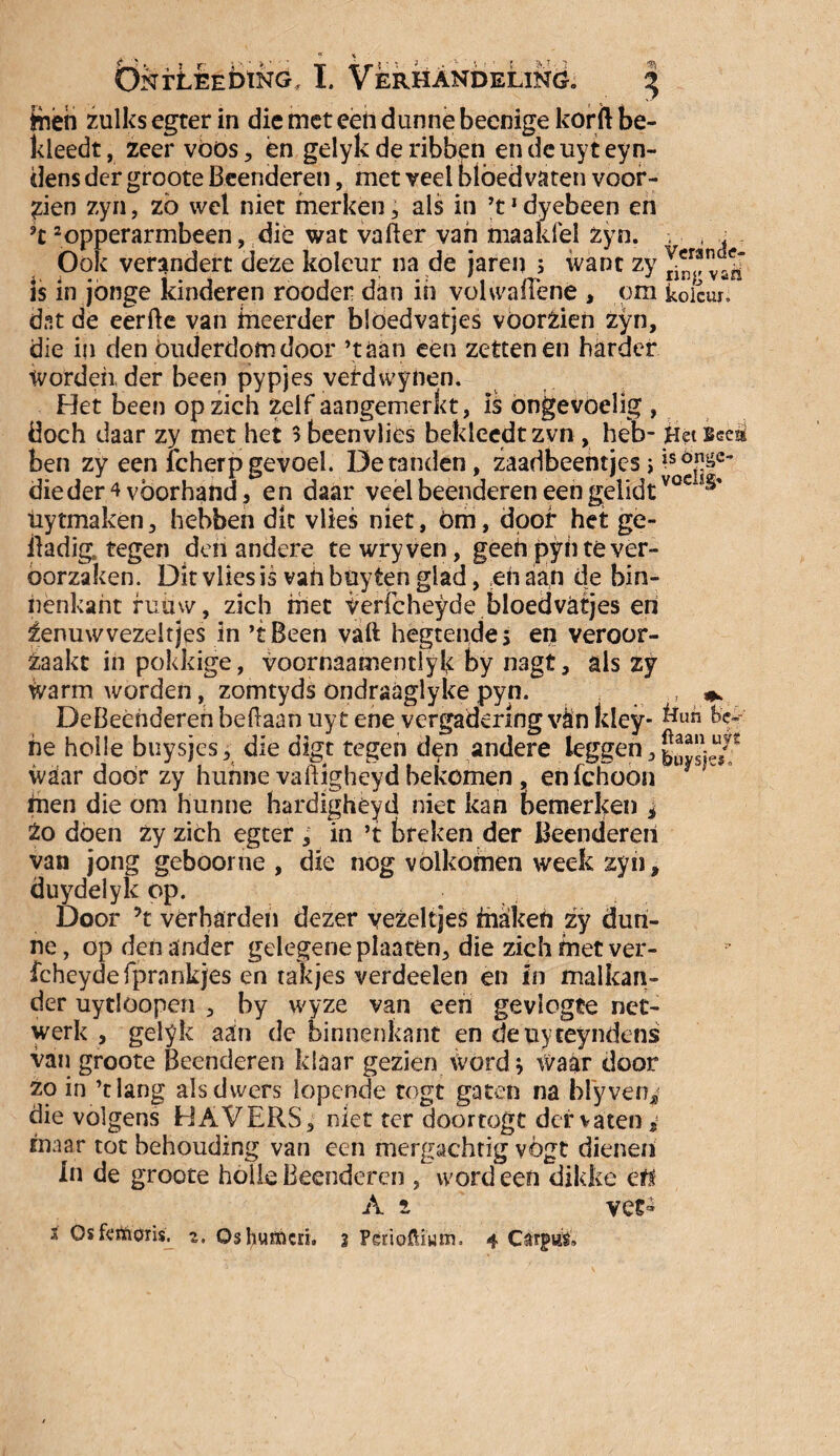 j-heh zulks egter in die met een dunne beenige korft be¬ kleedt , zeer voos , èn gelyk de ribben en de uyt ey n- dens der groote Beenderen, met veel bloedvaten voor¬ dien zyn, zö wel niet merken, als in ’t1 dyebeen en 9t 2opperarmbeen, dié wat vafter van maakfel zyn. Ook verandert deze koleur na de jaren 3 want zy Is in jonge kinderen rooder dan in volwafienê , om dat de eerfte van ineerder blöedvatjes vóórzien zyn, die in den Ouderdom door ’taan een zettenen harder Worden, der been pypjes vefdwynen. Het been op zich zelf aangemerkt, is ongevoelig , doch daar zy met het $ beenvlies bekleedt zvn , heb¬ ben zy een icherp gevoel. De tanden, zaadbeehtjes 3 dieder 4 voorhand, en daar veel beenderen een gelidt üytmaken, hebben die vlies niet, öm, door het ge- ftadig tegen den andere tewryven, geen pyn te ver¬ oorzaken. Dit vlies is vahbuy ten glad, en aan de bin¬ nenkant fuuw, zich met vericheyde blöedvatjes en Zenuwvezeltjes in ’tBeen vaft hegtende, en veroor¬ zaakt in pokkige, voornaamentlyk by nagt, als zy Warm worden, zomtyds ondraaglyke pyn. DeBeehderen beftaan uyt ene vergadering van kley- he holle buysjes, die digt tegen den andere leggen, waar door zy hunne vaftigheyd bekomen , enfehoon fnen die om hunne hardigheyd niet kan bemerken * Zo dóen zy zich egter , in ’t breken der Beenderen van jong geboorne , die nog volkomen week zyn, duydelyk op. Door ’t verharden dezer vezeltjes makefi zy dun¬ ne, op den ander gelegene plaaten, die zich met ver¬ icheyde fprnnkjes en takjes verdeelen en in malkan¬ der uytloopen , by wyze van een gevlogte net¬ werk , gelyk aan de binnenkant en deuyceyndens van groote Beenderen klaar gezien Word 3 waar door zo in ’t lang alsdwers lopende togt gaten na blyven^ die volgens HA VERS, niet ter doortogt der vaten, maar tot behouding van een mergachtig vógt dienen In de groote holle Beenderen , word een dikke cti A 2, vet* s Osferticris. z, Oshurncri. 2 Perioftiurn. 4 Verande¬ ring van koleur. Het Bee& is onge¬ voelig» Hun be~' ftaan uys buisjes.