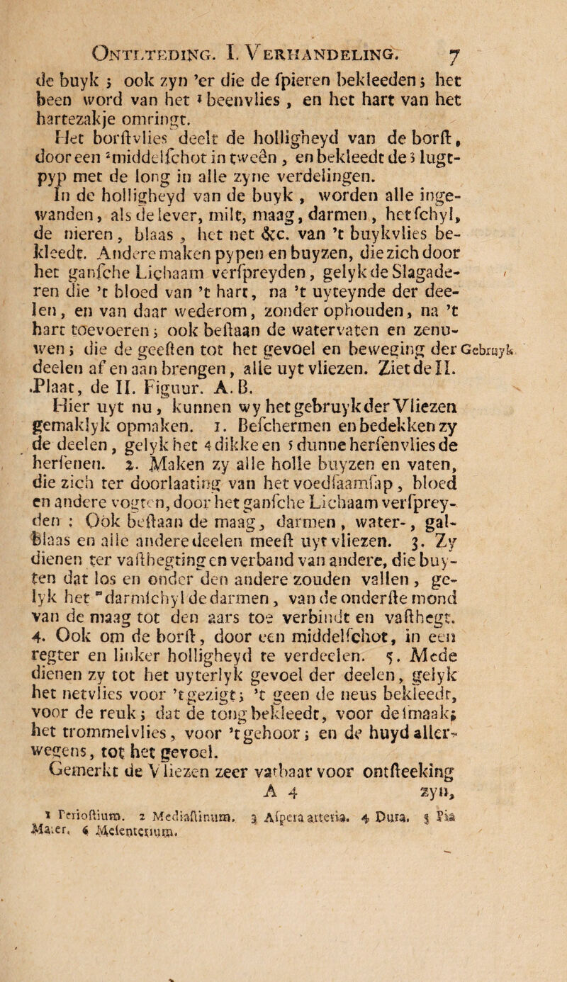 de buyk ; ook zyn ’er die de {pieren bekleeden; het been word van het * beenvlies , en het hart van het hartezakje omringt. Het borftvlies deelt de holligheyd van de bord:, dooreen *middelfchot in tweên , en bekleedt de 3 lugc- pyp met de long in alle zyne verdelingen. In de holligheyd van de buyk , worden alle inge¬ wanden, als de lever, milt, maag, darmen, heffchyl, de nieren , blaas , het net &c. van ’t buykvlies be¬ kleedt. Andere maken py pen en buyzen, die zich door het ganfche Lichaam verfpreyden, gelykdeSlagade- / ren die ’t bloed van ’t hart, na ’t uyteynde der dee- len, en van daar wederom, zonder ophouden, na ’t hart toevoeren; ook beflaan de watervaten en zenu¬ wen j die de gecften tot het gevoel en beweging derGebrayk deeleu af en aan brengen, alle uyt vliezen. Ziet de IL .Plaat, de II. Figuur. A. B. Hier uyt nu, kunnen wy het gebruyk der Vliezen gemaklyk opmaken. 1. Befchermen en bedekken zy de deelen, gelykhec 4 dikke en 5 dunne herlenvlies de herfenen. 2. Maken zy alle holle buyzen en vaten, die zich ter doorlaatiog van het voedfaamfap, bloed en andere vogten, door het ganfche Lichaam verfprey¬ den ; Qök beflaan de maag, darmen, water-, gal¬ blaas en ai ie andere deelen meeft uyt vliezen. 3. Zy dienen ter vafthegtingen verband van andere, die buy- ten dat los en onder den andere zouden vallen , ge- lyk het darmlchyl de darmen, van de onderfte mond van de maag tot den aars toe verbindt en vafthegt. 4. Ook om de bord, door een middelfchot, in een regter en linker holligheyd te verdeden. <j. Mede dienen zy tot het uyterlyk gevoel der deelen, geiyk het netvlies voor ’tgezigt; ’t geen de neus beldeedr, voor de reuk; dat de tong bekleedt, voor delmaakj het trommelvlies, voor ’tgehoor; en de huydailcr^ wegens, tot het gevoel. Gemerkt de Vliezen zeer vatbaar voor omfteeking A 4 zyn, x rnioftiuro. 2 Mcdkiüinuro. 3. Aipera attena. 4 Dura. % 21a;er, $ Meiejusuura.