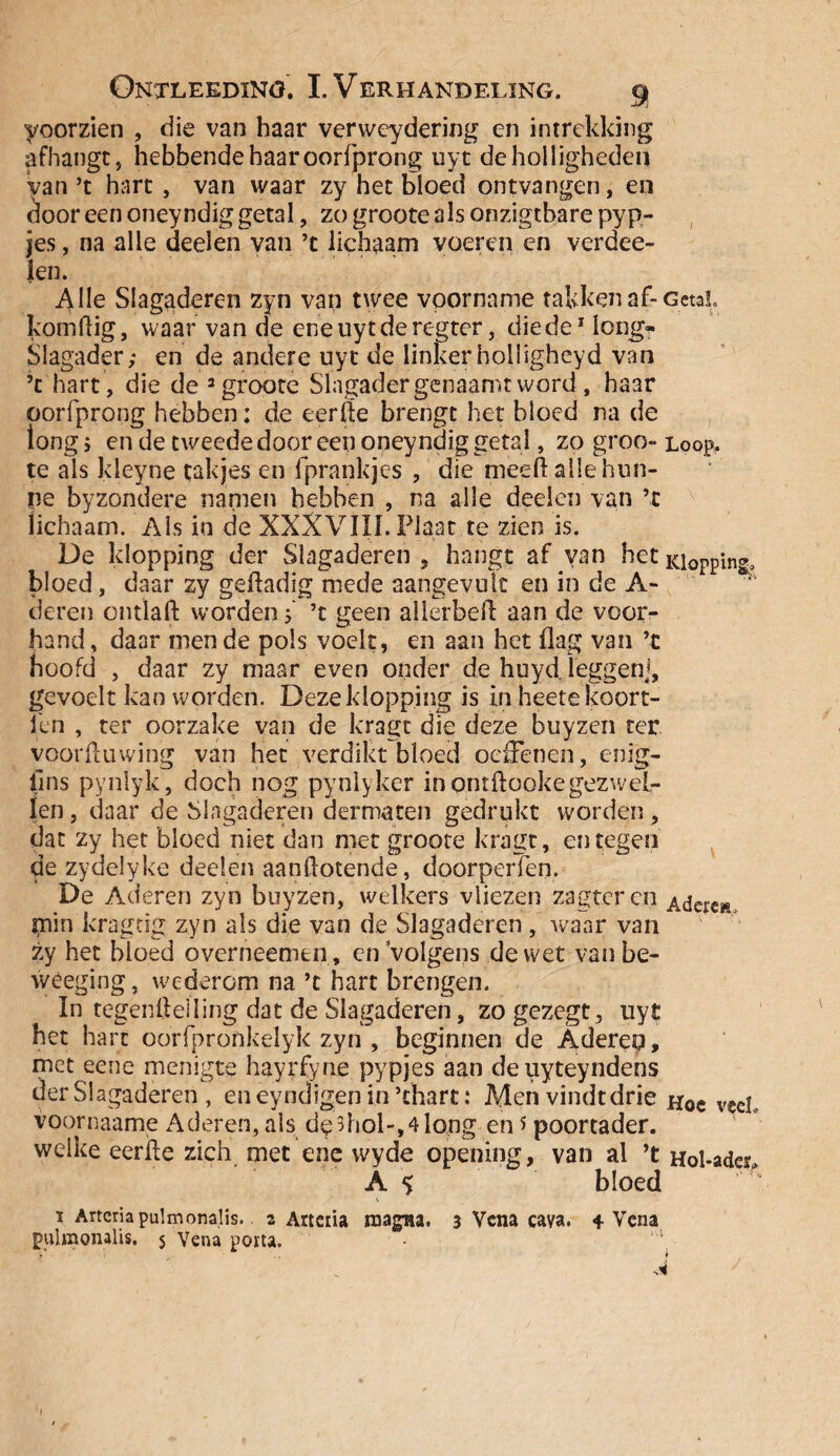 yoorzien , die van haar vervveydering en intrekking afhangt, hebbende haar oorfprong uyt de holligheden van ’t hart , van waar zy het bloed ontvangen, en door een oneyndig getal, zo groote als onzigtbare pyp- jes, na alle deelen van ’c lichaam voeren en verdee- len. Alle Slagaderen zyn van twee voorname takken af- Getal, komftig, waar van de eneuytderegter, diedeMong? Slagader; en de andere uyt de linkerholligheyd van ’c hart , die de 3 groote Slagader genaamt word , haar oorfprong hebben: de eerde brengt het bloed na de tong> en de tweede door een oneyndig getal, zo groo- Loop. te als kleyne takjes en fprankjes , die meed alle hun¬ ne byzondere namen hebben , na alle deelen van ’c lichaam. Als in de XXXVIII. Plaat te zien is. De klopping der Slagaderen . hangt af van het Klopping, bloed, daar zy gedadig mede aangevulc en in de A- deren ontlad worden 5 ’t geen allerbed aan de voor¬ hand , daar men de pols voelt, en aan het dag van ’t hoofd , daar zy maar even onder de huyd. leggen], gevoelt kan worden. Deze klopping is in heetekoort- len , ter oorzake van de kragt die deze buyzen ter voorduwing van het verdikt bloed oedenen, enig- llns pynlyk, doch nog pynlyker in ontdookegezwel¬ len , daar de Slagaderen dermaten gedrukt worden, dat zy het bloed niet dan met groote kragt, en tegen de zydelyke deelen aandotende, doorperTen. De Aderen zyn buyzen, welkers vliezen zagtercn Aderc» piin kragtig zyn als die van de Slagaderen , waar van zy het bloed overneemen, en Volgens de wet vanbe- wéeging, wederom na ’t hart brengen. In tegendelling dat de Slagaderen, zo gezegt, uyt het hart oorfpronkelyk zyn , beginnen de Aderep, met eene menigte hayrfyne pypjes aan deuyteyndens der Slagaderen , eneyndigenin’chart: Menvindtdrie Hoe veel, voornaame Aderen, als de3hol-,4long en s poortader. welke eerde zich met ene wyde opening, van al ’t Hol-ader, A $ bloed t Arteria pulmonalis. z Arteria noagna. 3 Vcna cava. 4 Vena pulmonalis. $ Vena porta. >4