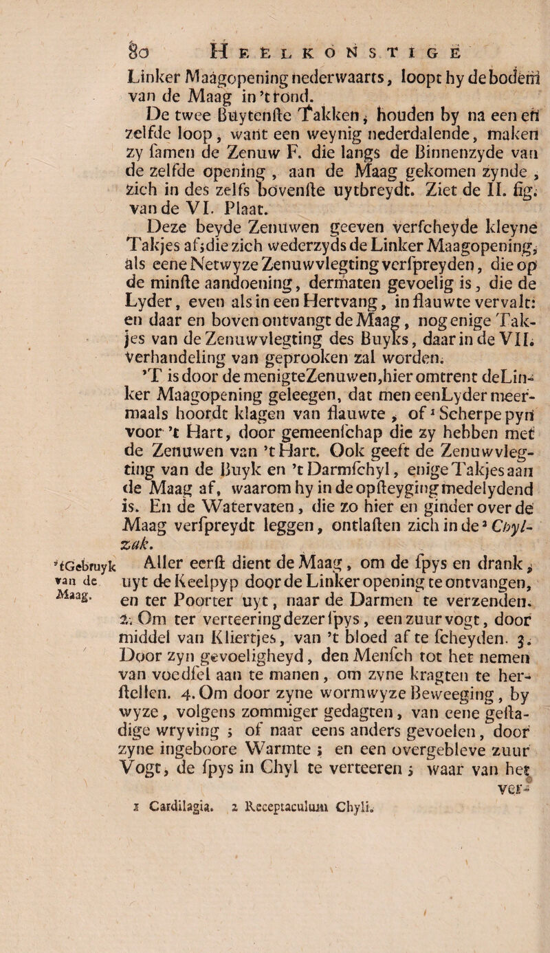 LinkerMaagopeningnederwaarts, loopthydebodëiü van de Maag in’t fond. De twee Buytenfte Takken * houden by na eeneh 7eifde loop, want een weynig nederdalende, maken zy famen de Zenuw F. die langs de Binnenzyde van de zelfde opening , aan de Maag gekomen zynde , Zich in des zelfs bovenfte uytbreydt. Ziet de II. fig. van de VI. Plaat. Deze beyde Zenuwen geeven verfcheyde kleyne Takjes afjdie zich wederzyds de Linker Maagopening, als eeneNecwyzeZenuwvlegtingverlpreyden, die op de minfte aandoening, dermaten gevoelig is, die de Lyder, even alsineenHertvang, in flauwte vervalt: en daar en boven ontvangt de Maag, nog enige Tak¬ jes van deZenuwvlegting des Buyks, daarin de VII. Verhandeling van geprooken zal worden; ’T is door de menigteZenuwen,hier omtrent deLin- ker Maagopening geleegen, dat men eenLyder meer¬ maals hoordt klagen van flauwte , of1 Scherpe pyrt voor ’t Hart, door gemeenfchap die zy hebben met de Zenuwen van ’tHarc. Ook geeft de Zenuwvleg- ting van de Buyk en ’c Darmichyl, enige Takjes aan de Maag af, waarom hy inde opfteygingmedelydend is. En de Watervaten , die zo hier en ginder over de Maag verfpreydc leggen, ontladen zich in de3 Cbyl- zak. “tGebruyk Aller eerft dient de Maag, om de fpys en drank i van de uyt de Keelpyp door de Linker opening te ontvangen, Maag. en ter poe)rter Uyt t naar de Darmen te verzenden. 2; Om ter verteering dezer fpys, een zuur vogt, door middel van Kliertjes, van ’t bloed af te fcheyden. 3. Door zyn gevoeligheyd, den Menfch tot het nemen van voedfèl aan te manen, om zvne kragten te her- ftellen. 4. Om door zyne wormwyze Beweeging, by wyze, volgens zommiger gedagten, van eene gefla- dige wryving ; of naar eens anders gevoelen, doof zyne ingeboore Warmte ; en een overgebleve zuur Vogt, de fpys in Chyl te verteeren s waar van hes ver- i Cardilagia, z Receptaculum ChylL