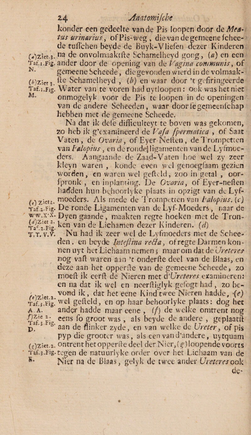 kouder een gedeelte van de Pis loepen door de Mett* tas urin&rius, of Pis-weg , die van dc gemeene fchee- de tufTchen beyde de Buyk-Vliefen dezer Kinderen (^ztet.3. na de onvolmaaktfte Schamelheyd gong, (a) en een Taf.i.fig. ander door de opening van de Vagina communis, of gemeene Scheede, die gevonden wierd in de volmaak- (^)zier 3. Schamelheyd , (h) en waar door ’t gefiringeerde Taf.i.Fig. Water van te voren had uytloopen: ook was het niet ^ onmogelyk voor de Pis te loopen in de openingen van de andere Scheeden, waar doorfegemeenfehap hebben met de gemeene Scheede. Na dat ik dele diffictilreyt te boven was gekomen, zo heb ik g’examineerd de Va fa fpermatica , of Saat Vaten, de Ovaria, of Eyer Nellen, de Trompetten van Pfllopius, en de ronde! ligamenten van de Lyfmoe- ders. Aangaande de Zaad-Vaten hoe wel zy zeer kleyn waren , koude even wei genoegfaam gezien worden, en waren wel gefield, zoo in getal , oor- fpronk , en inplanting. De Ovaria, of Eyer-nellen hadden hun byhoorlyké plaats in opzigt van de Lyf- (Ozicti. moeders. Als mede de T rompetten van talopius. \c) Taf.z.Fig. De ronde Ligamenten van de Lyf-Moeders, naar de ww.x-x. Dyen gaande, maakten regte hoeken met de Tron- TafZi.Fig. ^Ên van Lichamen dezer Kinderen, (d) t»t. v.v. Nu had ik zeer wel de Lyfmoeders met de Schee¬ den. en beyde Intejima veda, of regte Darmen koo¬ tten uyt het Lichaam nemen $ maar om dat de Ureter es nog vafl waren aan ’t onderfle deel van de Blaas, en deze aan het opperde van de gemeene Scheede, zo moefi ik eerfl de Nieren met è'Urcteres examineren: en na dat ik wel en neerlliglyk gefogt had , zo be- /Oziet i vonc* dat het eene Kind twee Nieren hadde, •(e) Taf.j.ïig* we* gefield, en op haar behoorlyke plaats: dog het A A. ander hadde maar eene , (f) de welke omtrent nog Fi eens Sroot was > Seyde de andere , geplaatft p* 3 aan de flinker zyde, en van welke de Ureter;, of pis pyp die grooter was, als een vand’andere, uytquam O)ziet.z. ontrent het opperde deel der Nier,(^)loopehde voorts Taf.3.Fig-tegen de natuurlyke order over het Lichaam van de JNTer na de Blaas, gelyk de twee ander Ureter es ook , , de-