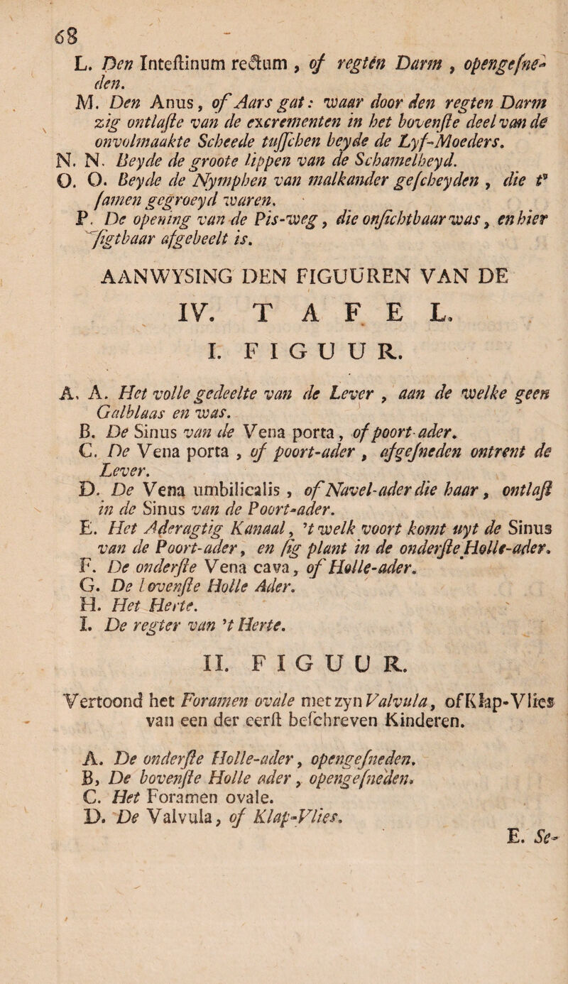 L. Den Inteflinum return , of regtén Darm , opengefne- den. M. Den Anus, of Aarsgat: waar door den regten Darm z 'ig ontlafie van de excrementen in bet bovenfïe deel van dg onvolmaakte Scheede tujfchen beyde de Lyf Moeders. N. N. Beyde de groote lippen van de Scbamelheyd. O. O. Beyde de Nympben van malkander gefebeyden , die tv (amen gegroeyd waren. P. De opemng van de Pis-weg, die onfiebtbaarwas> en bier fgtbaar afgebeeli is. AANWYSING DEN FIGUÜREN VAN DE IV. TAFEL. I. FIGUUR. A, A. Het volle gedeelte van de Lever , aan de welke geen Galblaas en was. B. De Sinus van de Versa porta, of poort ader. €. De Vena porta , of poort-ader , afgefneden ontrent de Lever. D. De Vena umbilicalis , of Navel-ader die baar, ontlafi in de Sinus van de Poort*ader. E. Het Aderagtig Kanaal, 't welk voort komt uyt de Sinus van de Poort- ader, en (ïg plant in de onderfleHolle-ader. F. De onderfle Vena ca va, of Hol Ie-ader. G. De lovenfte Holle Ader. H. Het Herte. I. De regter van 9t Herte. II. FIGUUR. Vertoond het Foramen ovale metzyn Valvula, ofKlap-Vlies van een der eerft befchreven Kinderen. A. De onderfle Holle-ader, opengejneden. B. De bovenfïe Holle ader, openge (nellen* C. Het Foramen ovale. 1). De Valvula, of Klap-Vlies. E. Se-