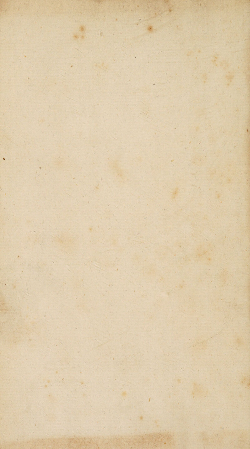 ■t :■ i t > i/ « . /i ‘ ‘V (- / i' ■ . v ■ ■ •-/ 1 . ■ * * •’ i ' V * V. ... .* ' ■ i