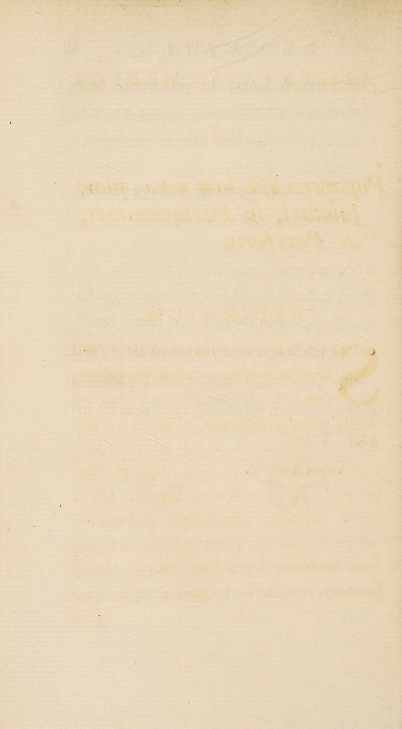 ■ ' ; ' . > ■ . : ' • '■ ' . ' •• - \ (