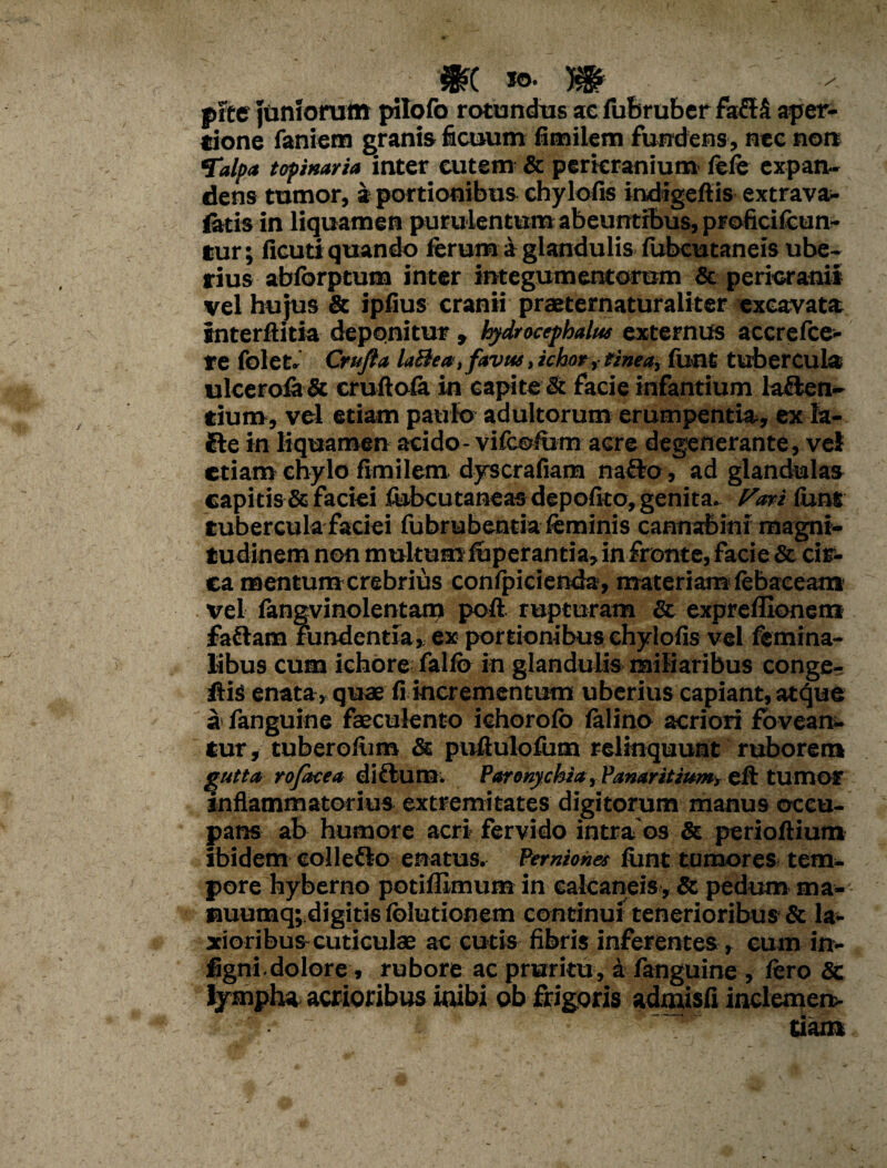 pite juniorum pilofo rotundus ac fiibruber fat£ aper¬ tione faniem granis ficuum fitnilem fundens , nec non •Talpa t opinar ia inter cutem & pericranium fefe expan¬ dens tumor, * portionibus chylofis indigeftis extrava- latis in liquamen purulentum abeuntibus, proficifcun- tur; ficuti quando ferum a glandulis fubeutaneis ube¬ rius abforptum inter integumentorum & pericranii vel hujus & ipfius cranii praeternaturaliter excavata interftitia deponitur, hydrocephalia externus accrefce- re folet. Crufta laBea, favut, ichor, tinea, funt tubercula ulcerofa& cruftofa in capite & facie infantium laten¬ tium, vel etiam paulo adultorum erumpentia, ex la¬ te in liquamen acido - vifcofum acre degenerante, vel etiam chylo fimilem dyscrafiam nato , ad glandulas capitis & faciei fubcutaneas depolito, genita» Pari limt tubercula faciei fubrubenria feminis cannabini magni¬ tudinem non multum fuperantia, in fronte, facie & cir¬ ca mentum crebrius confpicienda, materiam ftbaceam vel fangvinolentam poft rupturam & exprefllonem fatam fundentia, ex portionibus chylofis vel femina¬ libus cum ichore falfb in glandulis miliaribus conge- ftis enata, quae fi incrementum uberius capiant, atque » fanguine faeculento ichorofb falino acriori fovean¬ tur, tuberofiim & puftulofum relinquunt ruborem gutta rofacea ditum; Paronychia, Fanar itium, eft tumor inflammatorius extremitates digitorum manus occu¬ pans ab humore acri fervido intra os & perioftium ibidem colleto enatus. Pernionet funt tumores tem¬ pore hyberno potiffimum in calcaneis, & pedum ma- nuumq; digitis fblutionem continui tenerioribus & la¬ xioribus-cuticulae ac cutis fibris inferentes, eum in- figni. dolore, rubore ac pruritu, a fanguine , fero <5c lympha acrioribus inibi ob frigoris admisfi inclemen- ' § ” ‘ ~ v tiam