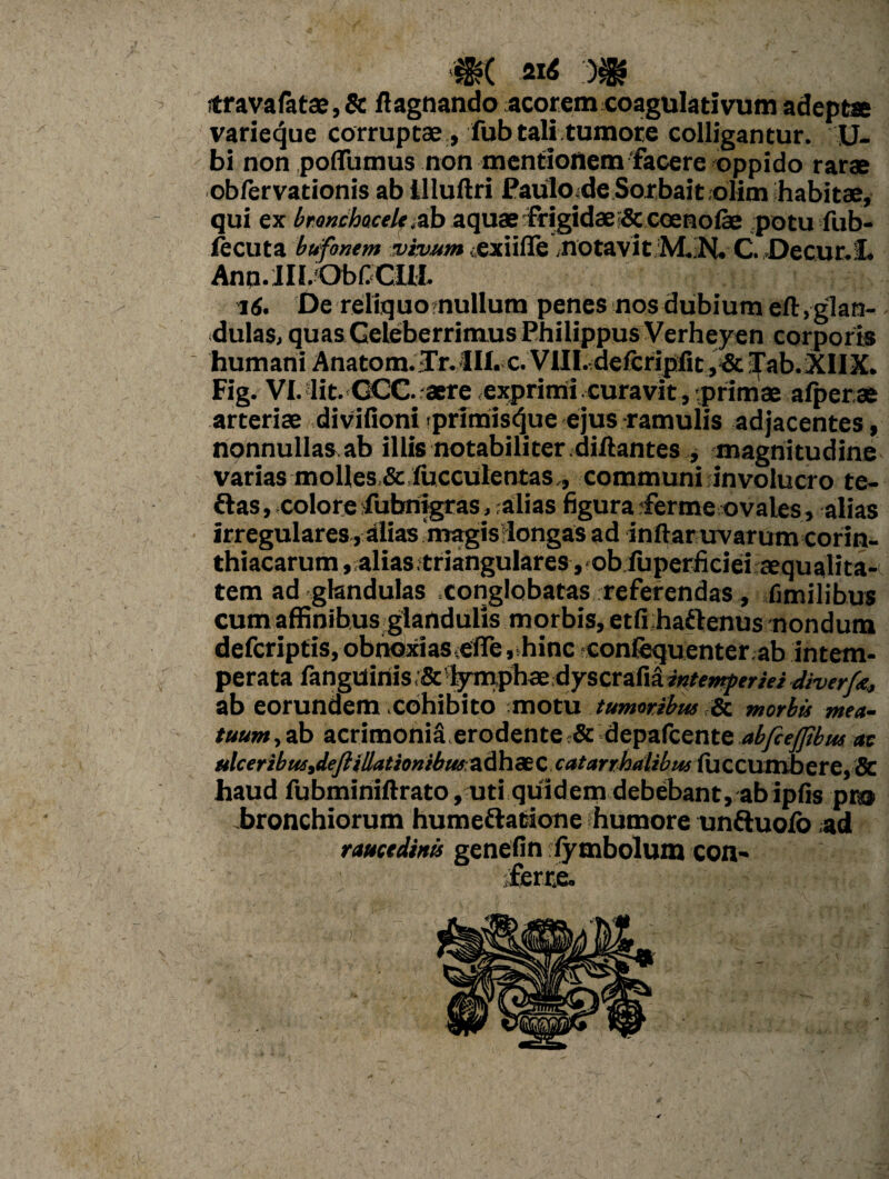 m m \ m stravafatae,& ftagnando acorem coagulativumadeptae varieque corruptae , fub tali tumore colligantur, li¬ bi non poffumus non mentionem‘facere oppido rarae obfervationis ab llluftri PaulOjde Sorbait olim habitae, qui ex bronchocele,ab aquae frigidae;& ccenoiae potu fub- fecuta bufonem vivum .exiiffe notavit 'MJN. C. Decur.iL Ann.lIl.ObfCIlI. t6. De reliquo nullum penes nos dubium eft . glan¬ dulas, quas Celeberrimus Philippus Verheyen corporis humani Anatom.;Tr.lIl.c. VIII.;deicripfit,& iTab.XIIX. Fig. VI. iit. OCC. aere exprimi curavit, primae afperae arteriae divifioni primis^ue ejus ramulis adjacentes, nonnullas.ab illis notabiliter dillantes , magnitudine varias molles&;fucculentas., communi involucro te- ftas, colore fubnigras, ;alias figura iferme ovales, alias irregulares , alias magisrlongas ad inftar uvarum Corin¬ thiacarum, ;alias;triangulares,'Ob.fuperficiei;aequalita-i. tem ad glandulas conglobatas referendas, fimilibus cum affinibus glandulis morbis, etfihailenus nondum defcriptis, obnoxias efle , hinc confequenter ab intem¬ perata fangtimisiScl^phsedyscraMinUn^erieidiverf^ ab eorundem .cohibito motu tumoribus & morbis mea¬ tuum , ab acrimonia erodente & depafcente abfiefjibus as ulcertbus,dejiillationibusadhc£C catarrhalibw <UCCUmbere,& haud fubminiftrato, uti quidem debebant, abipfis pro bronchiorum humeftatione humore un&uolo ad raucedinis genefin fymbolum con¬ ferre.