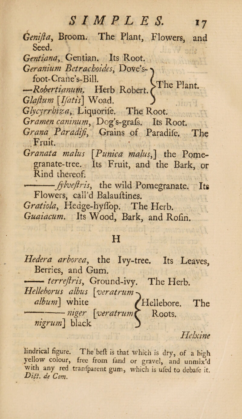 Genijla, Broom. The Plant, Flowers, and Seed. GentianaGentian. Its Root. Geranium Betrachoides, Dove’s- ■n foot-Crane’s-Bill. p. —Robertianum, Herb Robert, f e ant* Glaftum [Ijatis] Woad. J Glycyrrhiza, Liquorile. The Root. Gramen caninum, Dog's-grafs. Its Root. Gratia Paradifi, Grains of Paradife. The Fruit. Granata malus [Punica malus^\ the Pome¬ granate-tree. Its Fruit, and the Bark, or Rind thereof. •-Jyfoeftris, the wild Pomegranate. Its Flowers, call’d Balauftines. Gratiola, Hedge-hyffop. The Herb. Guaiacum. Its Wood, Bark, and Rofin. H Hedera arborea, the Ivy-tree. Its Leaves, Berries, and Gum. —— terrejiris, Ground-ivy. The Herb. Helleborus albus [veratrum album] white /Hellebore. The ----»/]gw Roots. nigruin\ black Helxine lindrical figure. The beft is that which is dry, of a high yellow colour, free from fand or gravel, and unmix’d with any red tranfparent gum, which is ufed to debafe it. Did. de Com.