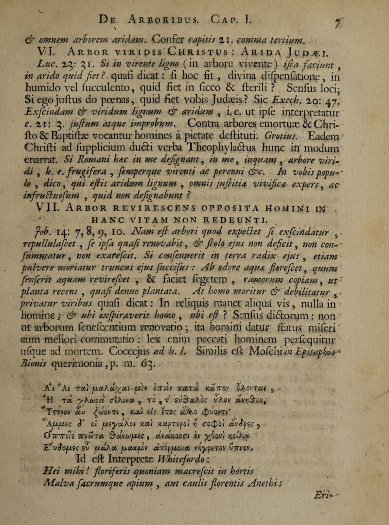 7 & omnem arborem aridam. Confer capitis 21. comma tertium. VI. Arbor viridis Christus: Arida Jupjgi. Luc. 25: 31. Si in 'virente ligno (in arbore vivente) ifira faciunt, & arido'quid fiet ?. quali dicat: fi hoc fit, divina diipeniatione, in humido vel faeculento, quid fiet in ficco Se fterili ? Senilis loci, Siegojuftus do poenas, quid fiet vobis Judaeis? Sic Exech. 20: 47. Exficindam & viridum lignum & aridum , i. e. ut ipie interpretatur c. 21: 3. jufium atque improbum. Contra arbores emortuae & Cfari- fio Sc Baptiftae vocantur homines a pietate deftituti. Gratius, Eadem Chrifti ad fupplicium dudti verba Tfieophyladlus hunc in modum enarrat. Si Romani hac in me dejlgnant, in me, inquam , arbore viri¬ di , h.e. frugifera , femperqtie virenti ac perenni &c. In vobis popu*‘ lo , dico, qui efiis aridum lignum , omnis jufiitia vivifica expers, ac infruFtuofum , quid non defignabunt I VII. Arbor revirescens opposita homini in x HANC VITAM NON REDEUNTI. fob. 14: 7, 8, 9, 10. Nam efl arbori quod expellet fi exfeindatur - repullulafcet , fe ipfa quafi renovabit, # 7^0/0 «0» deficit, #0« ro»-** fummatur, #0« exafefleit. Si confcnuerit in terra radix ejus , etiam pulvere moriatur truncus ejus fuccifus : Ab odore aqua fi&refcet, quum fenferit aquam revirefeet , & faciet iegetem , ramorum copiam, planta recens , ^//4/? plantata. At homo moritur & debilitatur privatur viribus quafi dicat: In reliquis manet aliqua vis , nulla in homine ; & ubi cxjpiraverit homo , ubi efl ? Senilis di&orum: non nt arborum ienefeentium renovatio ; ita homini datur fiatus miferi ’ cum meliori commutatio : lex enim peccati hominem perfequitur uique ad mortem. Coccejus ad h. I. Similis di Mofclli in Epitaphio* Bionis querimonia, p. m. 63. RAai tcl) pat.fi/ca pdv itrdv rocrd kcIttov o^cvrect 5 .« rd yKeopd eiXivoc , ro 9r zv&afks >jAqv dv>j9xv, T(f€pOV CCV t?UQVTl , HJfci iis ZTOS uliSO jtyvQyrt' ^AjU/xis I* 01 peydAoi v.ot) xatpTspo} y eotpo} dvfyis 5 t Osr7To/2 TvfooTcc itav cepis , ^vaMcoocn iv %6av) kqiKoo ,c va opis ptzAoc potiepv oenyposoc vyypiTGv vsvpv. Id efi Interprete Whitefordo: Elei mihi! floriferis quonia?n macrefcit in hortis JMalva facrumque apium , florentis Anethi 1