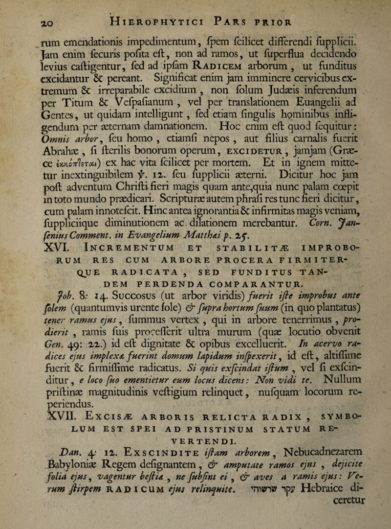 rum emendationis impedimentum, fpem fcilicet differendi fupplicii. Jam enim fecuris pofita eft, non ad ramos, ut fuperflua decidendo levius caftigentur, fed ad ipfam Radicem arborum, ut funditus excidantur 6t pereant. Significat enim jam imminere cervicibus ex¬ tremum & irreparabile excidium , non folum Judaeis inferendum per Titum & Vefpafianum , vel per translationem Euangelii ad Gentes, ut quidam intelligunt , fed etiam fingulis hominibus infli¬ gendum per aeternam damnationem. Hoc enim eft quod fequitur: Omnis arbor, feu homo , etiamfi nepos , aut filius carnalis fuerit Abrahae , fi fterilis bonorum operum, excidetur , jamjam (Grae¬ ce ixxo7T%Tou) ex hac vita fcilicet per mortem. Et in ignem mitte¬ tur inextinguibilem f. iz. feu fupplicii aeterni. Dicitur hoc jam poft adventum Chrifti fieri magis quam ante,quia nunc palam coepit in toto mundo praedicari. Scripturae autem phrafi res tunc fieri dicitur, cum palam innotefeit. Hinc antea ignorantia Sc infirmitas magis veniam, fuppliciique diminutionem ac dilationem merebantur. Corn. Jan- fenius Comment. in Evangelium Alatthai p. Zf. XVI. Incrementum et stabilitae improbo¬ rum RES CUM ARBORE PROCERA FIRMITER* QUE RADICATA, SED FUNDITUS TAN¬ DEM PERDENDA COMPARANTUR. fob. 8: 14. Succosus (ut arbor viridis) fuerit ifie improbus ante folem (quantumvis urente Iole) & fupra hortum fuum (in quo plantatus) tener ramus ejus, fiimmus vertex , qui in arbore tenerrimus , pro¬ dierit , ramis fuis procefferit ultra murum (quae locutio obvenit Gen. 49: zz.) id eft dignitate & opibus excelluerit. In acervo ra¬ dices ejus implexa fuerint domum tapidum infpexerit, id eft, altifiime fuerit 6c firmiffime radicatus. Si quis exfeindat iflum , vel fi exfein- ditur , e loco fuo ementietur eum locus dicens: Non vidi te. Nullum priftinae magnitudinis veftigium relinquet, nufquam locorum re- periendus. XVII. Excisae arboris relicta radix, symbo¬ lum EST SPEI AD PRISTINUM STATUM RE¬ VERTENDI. jDan. 4: ii. Exscindite ifiam arborem, Nebucadnezarem Babyloniae Regem defignantem, & amputate ramos ejus , dejicite folia ejus, vagentur befiia , ne fubjint ei , & aves a ramis ejus: fSe- rum ftirpem radicum ejus relinquite, Tinw yv Hebraice di¬ ceretur