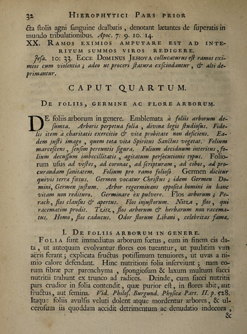 3* £ta ftolis agni fanguine dealbatis , denotant laetantes de fuperatis in mundo tribulationibus. Apoc. 7: 9. 10. H- XX. Ramos eximios amputare est ad inte¬ ritum SUMMOS VIROS REDIGERE. fefa. 10: 33. Ecce Dominus A. collucaturus efi ramos exi¬ mios cum violentia s adeo ut proceri flatura exfeindantur , & alti de¬ primantur. CAPUT QUARTUM. De foliis, germine ac flore arborum. DE foliis arborum in genere. Emblemata d foliis arborum de- fumta. Arboris perpetua folia , divina legis fludiofus. Fide¬ lis item d charitatis exercitio & vita probitate non deficiens. Ea¬ dem jufti imago , quem tota vita Spiritus Santius vegetat. Folium marcefcens , fenfim pereuntis figura. Folium deciduum interitus , fo- ' lium decujfum imbecillitatis , agitatum perfecutionis typus. Folio¬ rum ufus ad vefies 9 ad coronas, ad feripturam , ad cibos, ad pro¬ curandam fanitatem. Folium pro ramo foliofb. Germen dicitur quivis terra festus. Germen vocatur Chriflus ; idem Germen Do¬ mini, Germen juflum. Arbor regerminans oppofita homini in hanc vitam non redituro. Germinare ex pulvere. Flos arborum ; Pe- rach, flos claufus & apertus. Flos injuftorum. Nitz^a , flos, qui racematim prodit. *T‘z.itz,, flos arborum & herbarum non racema¬ tus. Homo 5 flos caducus. Odor florum Libani , .celebritas fama,, I. De FOLIIS arborum in genere. Folia funt immediatus arborum foetus , eum in finem eis da¬ ta , ut antequam evolvantur flores eos tueantur, ut paulatim vim aeris ferant; explicata fructus potiflimum tenuiores, ut uvas a ni¬ mio calore defendant. Hinc nutritioni folia inferviunt ; nam eo¬ rum fibrae per parenchyma , fpongiofum & laxum multum fucci nutritii trahunt ex trunco ad radices. Deinde, cum fucci nutritii pars crudior in folia contendit, quae purior effc, in flores abit, aut frudtus, aut femina. Vid. Philof. Burgund. Phy fica Part. II. p.qi 8. Itaque foliis avulfis veluti dolent atque mordentur arbores, &C ul- cerofum iis quoddam accidit detrimentum ac denudatio indecora ,