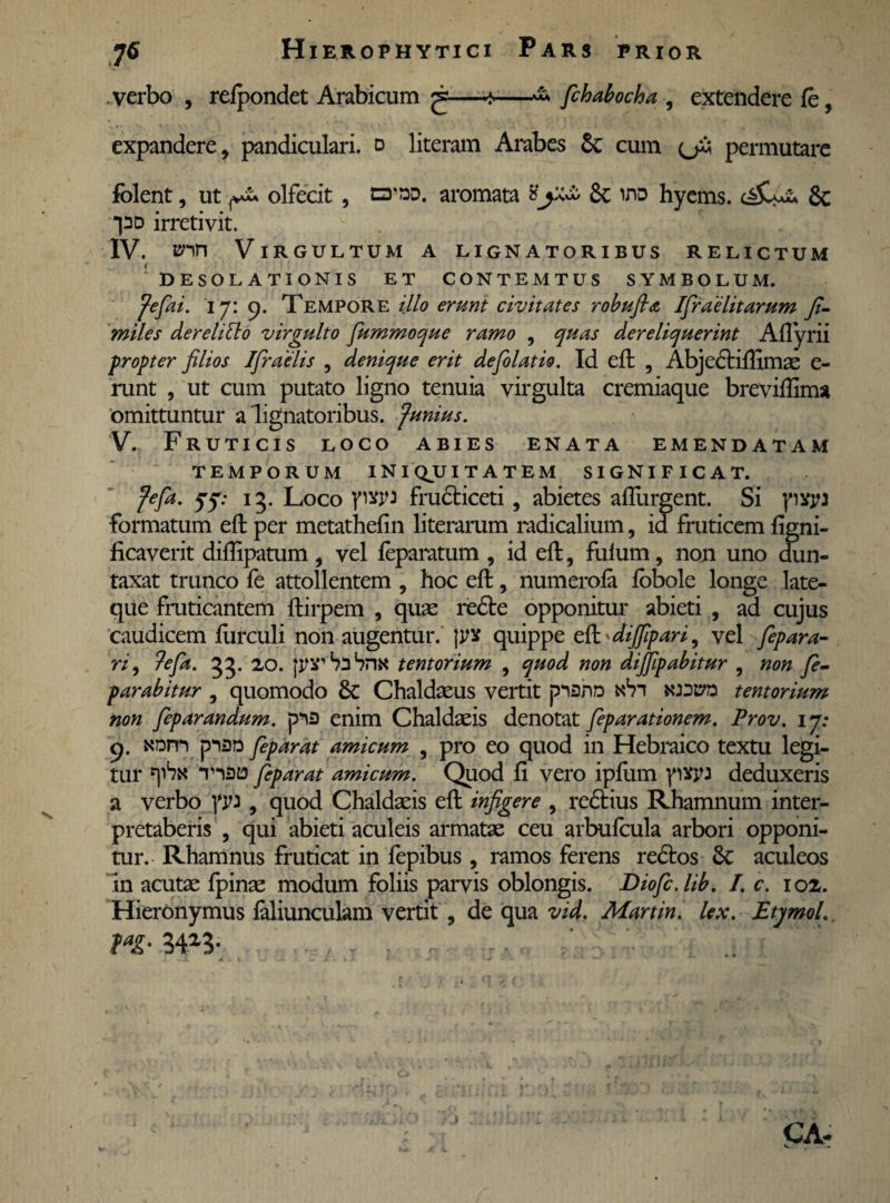 verbo , refpondet Arabicum ^—*—& fichabocha , extendere fe, expandere, pandiculari, d literam Arabes & cum permutare fblent, ut olfecit , nr»D. aromata & irsD hyems. 3c *pD irretivit. IV. unn Virgultum a lignatoribus relictum DESOLATIONIS ET CONTEMTUS SYMBOLUM. Jefiai. 'i j: 9. Tempore illo erunt civitates robufla Ifiraelitarum fi- miles de re litto virgulto fiummoque ramo , quas dereliquerint Afiyrii propter filios JJraelis , denique erit defio latio. Id eft , Abjedtiffimae e- runt , ut cum putato ligno tenuia virgulta cremiaque breviffima omittuntur a lignatoribus. Junius. V. Fruticis loco abies enata emendatam TEMPORUM INIQUITATEM SIGNIFICAT. Jefia. 77: 15. Loco yw fructiceti, abietes afturgent. Si yivya formatum eft per metathefin literarum radicalium, id fruticem figni- ficaverit diftipatum, vel feparatum , id eft, fuium, non uno dun- taxat trunco fe attollentem , hoc eft, numerofa fobole longe late- que fruticantem ftirpem , quas redte opponitur abieti , ad cujus caudicem furculi non augentur. pra quippe eft^difiipari, vel fiepara- ri9 ?efia. 33. 20. fjnrhaSnx tentorium , quod non dijfipabitur , non fe- parabitur , quomodo & Chaldaeus vertit piahn «Vi kwo tentorium non fieparandum. pia enim Chaldaeis denotat fieparationem. Prov. 17: 9. NDm piaD fieparat amicum , pro eo quod in Hebraico textu legi¬ tur tisjd fieparat amicum. Quod fi vero ipfum ywyj deduxeris a verbo yyi, quod Chaldaeis eft infigere , redtius Rhamnum inter¬ pretaberis , qui abieti aculeis armatae ceu arbulcula arbori opponi¬ tur. Rhamnus fruticat in fepibus, ramos ferens redtos 8c aculeos in acutae fpinae modum foliis parvis oblongis. Diofic.lib. I. c. 102. Hieronymus faliunculam vertit , de qua vid. Martin. lex. EtymoL Ta£- 3423-