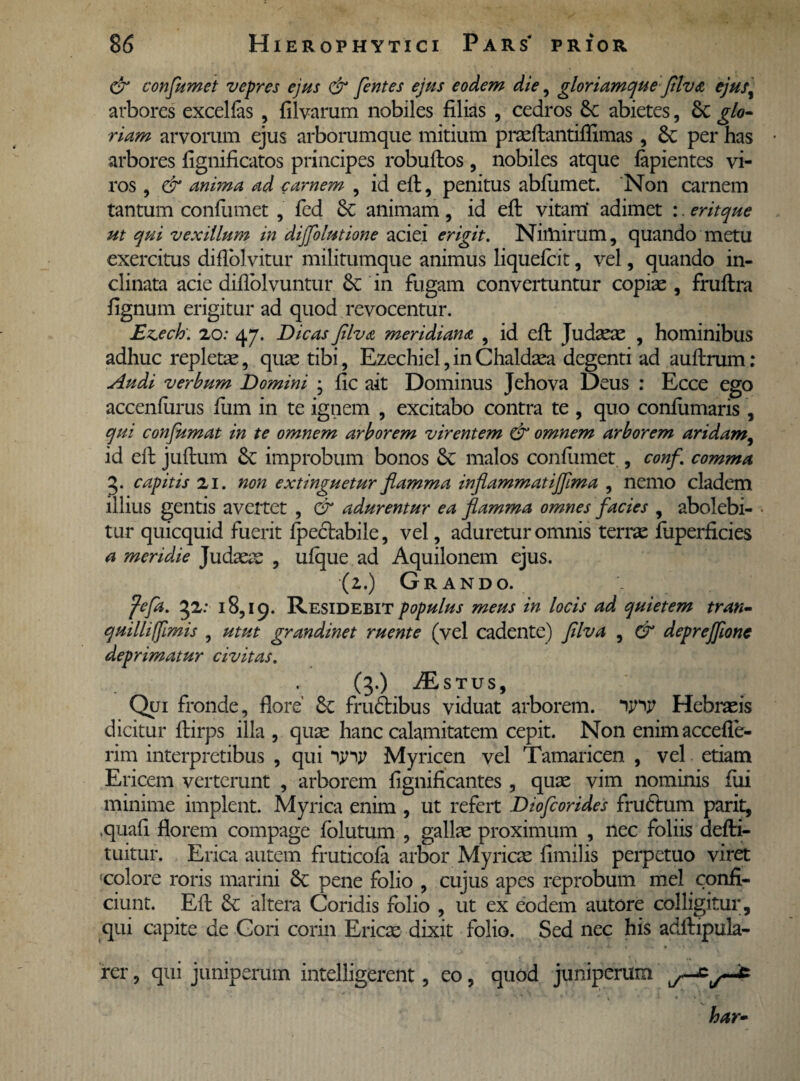 & confumet vepres ejus & fentes ejus eodem die, gloriamque fllva ejus, arbores excellas , filvarum nobiles filias , cedros 6e abietes, 6c glo¬ riam arvorum ejus arborumque mitium praeftantiffimas , Se per has • arbores fignificatos principes robuftos, nobiles atque lapientes vi¬ ros , & anima ad carnem , id effc, penitus abfumet. Non carnem tantum confumet , fed Se animam, id efl: vitam' adimet :. eritque ut qui vexillum in dijfolutione aciei erigit. Nimirum, quando metu exercitus difiolvitur militumque animus liquefcit, vel, quando in¬ clinata acie dillblvuntur Se in fugam convertuntur copiae , fruftra fignum erigitur ad quod revocentur. E^ech. 20: 4 j. Dicas filva meridiana , id efl: Judaeae , hominibus adhuc repletae, quae tibi, Ezechiel, in Chaldaea degenti ad auftrum: Audi verbum Domini • fic ait Dominus Jehova Deus : Ecce ego accenlurus fiim in te ignem , excitabo contra te , quo confirmaris , qui confumat in te omnem arborem virentem & omnem arborem aridam, id efi: juftum Se improbum bonos Se malos confumet , conf. comma 3. capitis 21. non extinguetur flamma inflammatijflma , nemo cladem illius gentis avertet , & adurentur ea flamma omnes facies , abolebi- ■ tur quicquid fuerit fpedabiie, vel, aduretur omnis terrae fuperficies a meridie Judaeae , ufque ad Aquilonem ejus. (2.) Grando. fefa. 52: 18,19. Residebit populus meus in locis ad quietem tran¬ quilli fflmis , utut grandinet ruente (vel cadente) fllva , & deprefflone deprimatur civitas. (3.) iEsTUS, Qui fronde, flore' Se frudibus viduat arborem. ijny Hebraeis dicitur ftirps illa , quae hanc calamitatem cepit. Non enim accefle- rim interpretibus , qui ijny Myricen vel Tamaricen , vel etiam Ericem verterunt , arborem fignificantes , quae vim nominis fui minime implent. Myrica enim , ut refert Diofcorides frudum parit, .quafi florem compage folutum , gallae proximum , nec foliis defli- tuitur. Erica autem fruticofa arbor Myricae fimilis perpetuo viret <colore roris marini Se pene folio , cujus apes reprobum mei confi¬ ciunt. Efi: Se altera Coridis folio , ut ex eodem autore colligitur, qui capite de Gori corin Ericae dixit folio. Sed nec his adftipula- rer, qui juniperum intelligerent, eo, quod juniperum har-