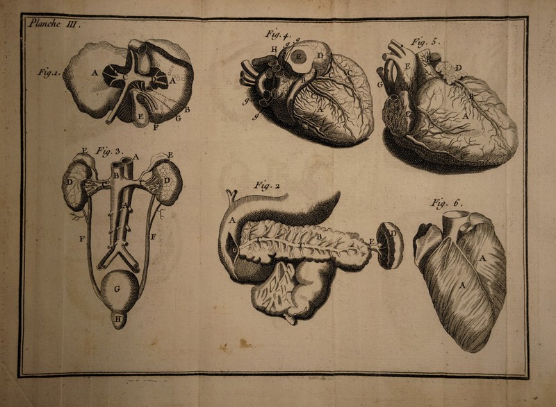 mmm jPlanch J1T. i ru/. ÿ. J?iy. 6. J^u/- S ■