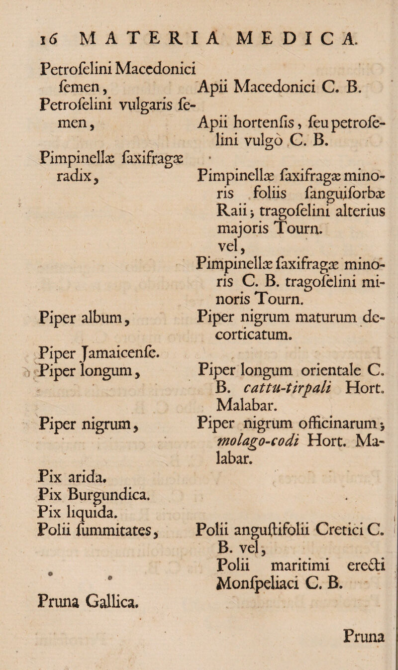 Petrofelini Macedonici femen, Apii Macedonici C. B. Petrofelini vulgaris fe¬ men Fimpinellx faxifragx radix, Piper album, Piper Jamaieenfe. > Piper longum > Piper nigrum , Pix arida. Pix Burgundica. Pix liquida. Polii fummitates , Pruna Gallica. Apii hortenfis, feu petrofe¬ lini vulgo C. B. Fimpinellx faxifragx mino¬ ris foliis fanguiforbx Raii > tragofelini alterius majoris Tourn. vel, Pimpinellx faxifragx mino¬ ris C. B. tragofelini mi¬ noris Tourn. Piper nigrum maturum de¬ corticatum. . , » « * • Piper longum orientale C. B. cattu-tirpali Hort* Malabar. Piper nigrum officinarum*, molago-codi Hort. Ma¬ labar. Polii anguftifolii Cretici C. B. vel, Polii maritimi eredi Monfpeliacx C. B. Pruna