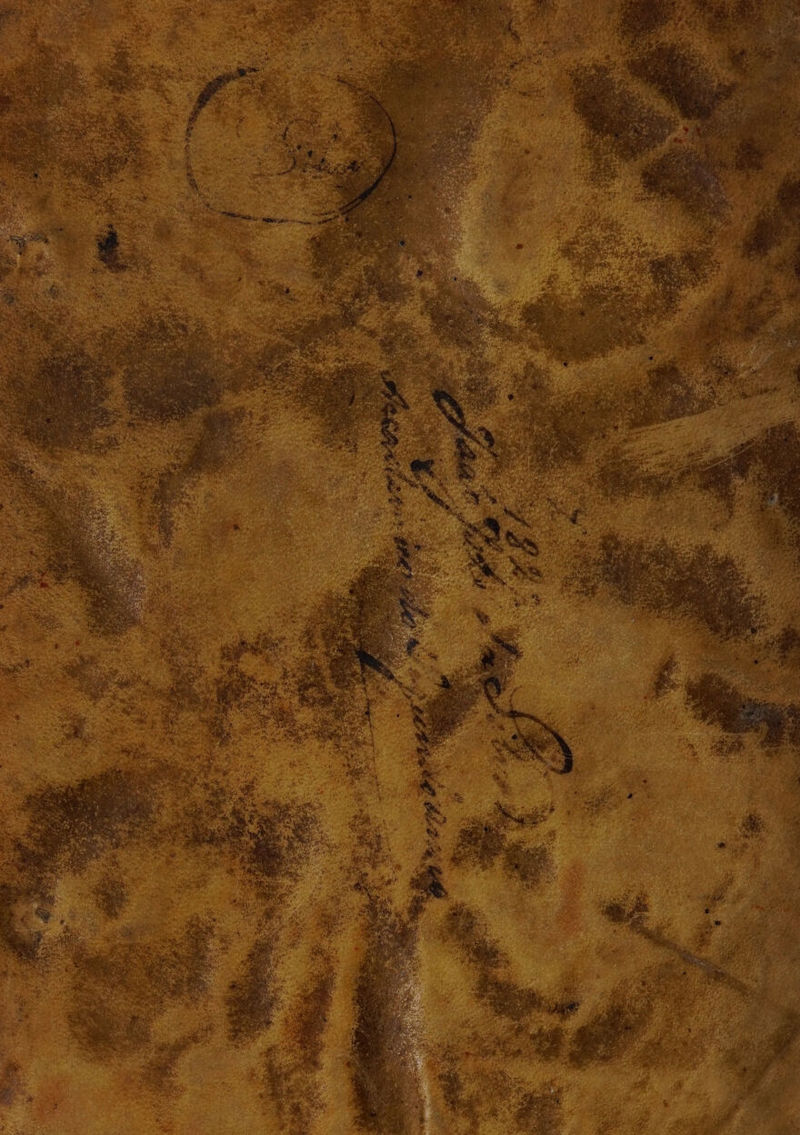 No text description is available for this image