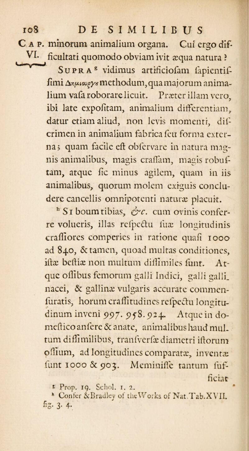 Cap, minorum animalium organa. Cui ergo dif- VI. ficultati quomodo obviam ivit a:qua natura ? Supra g vidimus artificiofam fapientif- fimi methodum,quamajorum anima¬ lium vafa roborare licuit. Praeter illam vero, ibi late expolitam, animalium differentiam, datur etiam aliud, non levis momenti, dii1 crimen in animalium fabrica feu forma exter¬ na? quam facile eft obfervare in natura mag¬ nis animalibus, magis eradam, magis robuf- tam, atque fic minus agilem, quam in iis animalibus, quorum molem exiguis conclu¬ dere cancellis omnipotenti naturae placuit. h Si boum tibias, &c. cum ovinis confer¬ re volueris, illas refpcdu fuac longitudinis craffiores comperics in ratione quafi iooo ad 840, & tamen, quoad multas conditiones, iftx bellia: non multum diflimiles funt. At¬ que offibus femorum galli Indici, galli galli, nacei, & gallina: vulgaris accurate commcn- furatis, horum crafiitudincsrefpedu longitu¬ dinum inveni 5)97. 95”8.924. Atque in do- mefticoanfere & anate, animalibus haud mul¬ tum difUmilibus, tranfvcrfcc diametri illorum odium, ad longitudines comparata:, inventa: funt 1000 & 903. Memimffc tantum dif¬ fictae * Prop. ig. Scbol. 1. 2. h Confer &Bradley of theWorks of Nat.Tab.XVII. f©* 3* 4*