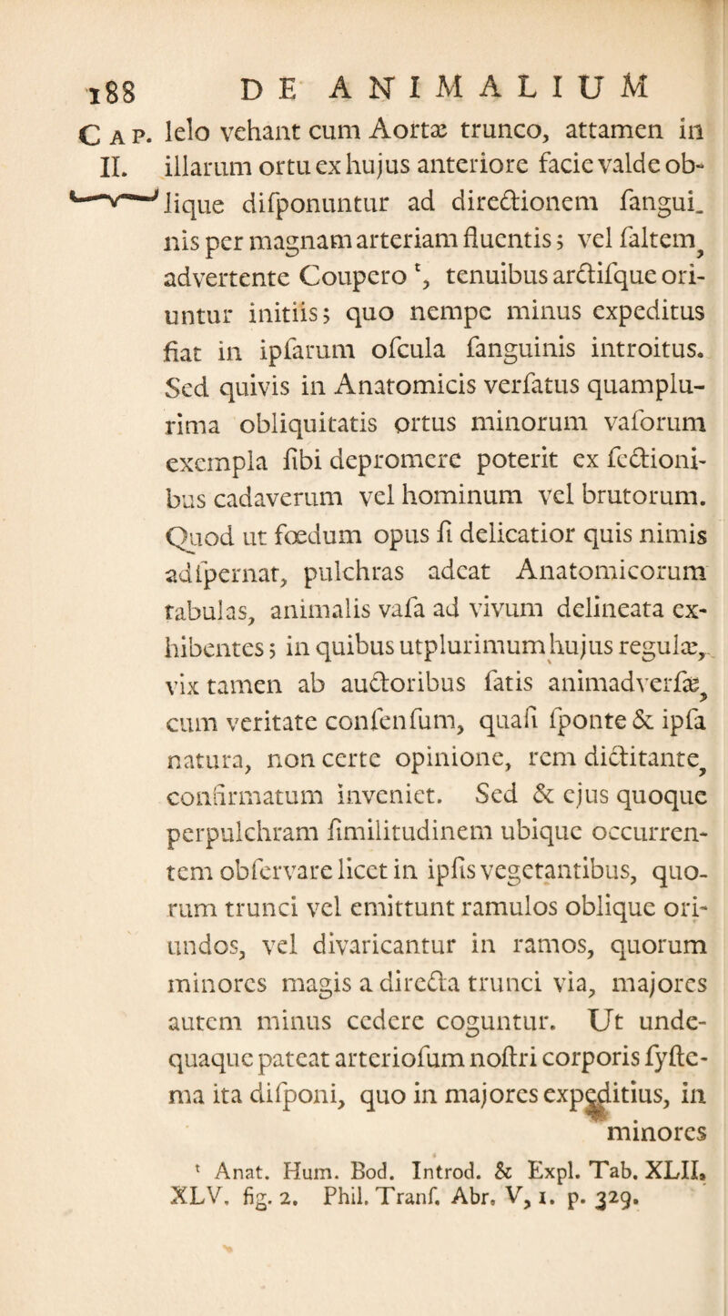 Cap. lelo vehant cum Aortx trunco, attamen in II. illarum ortu ex hujus anteriore facie valde ob- —*—'lique difponuntur ad diredionem fangui. nis per magnam arteriam fluentis 5 vel faltem? advertente Coupero £, tenuibus ardifque ori¬ untur initiis; quo nempe minus expeditus fiat in ipfarum ofcula fanguinis introitus. Sed quivis in Anatomicis verfatus quamplu- rima obliquitatis ortus minorum vaforum exempla fibi depromere poterit ex fedioni- bus cadaverum vel hominum vel brutorum. Quod ut foedum opus fi delicatior quis nimis adlpernat, pulchras adeat Anatomicorum tabulas, animalis vafa ad vivum delineata ex¬ hibentes ; in quibus utplurimum hujus regulce,.. vix tamen ab audoribus fatis animadverfe cum veritate confenfum, quali fponte& ipfa natura, non certe opinione, rem diditante^ confirmatum inveniet. Sed & ejus quoque perpulchram fimilitudinem ubique occurren¬ tem obfervare licet in ipfis vegetantibus, quo¬ rum trunci vel emittunt ramulos oblique ori¬ undos, vel divaricantur in ramos, quorum minores magis a direda trunci via, majores autem minus cedere coguntur. Ut unde- quaque pateat arteriofum noftri corporis fyfte- ma ita difponi, quo in majores expolitius, in minores * Anat. Hum. Bod. Introd. & Expl. Tab. XLII* XLV. fig. 2. Phil. Tranf. Abr» V, i. p. 329.