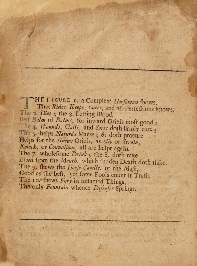 T / ^ ^ • |Figure r. a Compleat Horfeman (bows, f J That Rides, Keeps, O/rtx and all Perfeaions knows, i ne 2. Diet 5 the 3. Letting Blood, Left Balm of Balms, for inward Griefs moft good ? ^ f ottiids. Galls, and 6ores doth firmly cure - _>• helps Nature s Marks 5 6. doth procure Helps for the Sinews Griefs, as Slip or Strain, Knock, or Conmlfion, all are helpt again, * 1 he 7. wholefome Drink $ the 8. doth take Blood from the Mouth, which fudden Death doth flake. The 9. (hews the Horfe Caudie, or the Majh, Good as the beft, yet fome Fools count it frafii. The 10/{hews Fury in untamed Things, The only Fountain whence Dijeajes Springs,