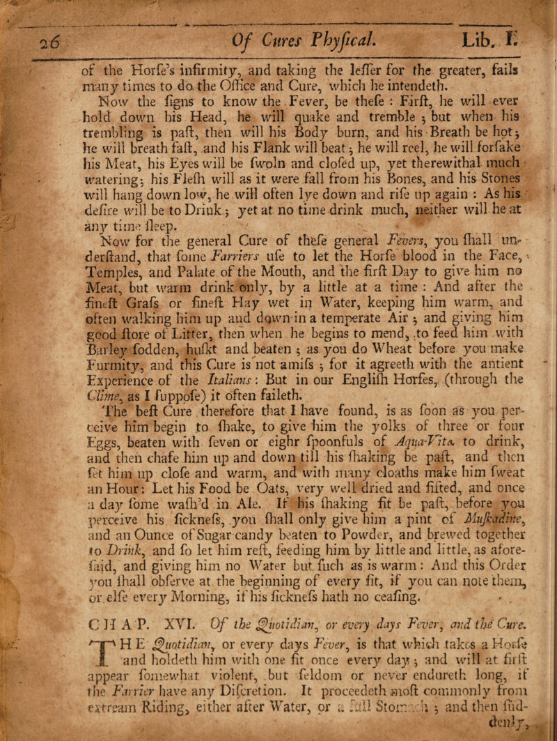 Ac ■* Am 0.6 Of Cures P by ft cal. Lib, K of the Korfe’s infirmity, and taking the leiTer for the greater, fails many times to do. the Office and Cure, which he intendeth. Now the figns to know the Fever, be thefe : Firft, he will ever hold down his Head, he will quake and tremble $ but when his trembling is paft, then will his Body burn, and his Breath be hot * he will breath fall, and his Flank will beat ^ he will reel, he will forfake his Meat, his Eyes will be fwoln and clofed up, yet therewithal much watering*, his Fieffi will as it were fall from his Bones, and his Stones will hang down low, he will often lye down and rife up again : As his defice will be to Drink.; yet at no time drink much, neither will he at any time ileep. Now for the general Cure of thefe general Fevers, you fhall un¬ derstand, that fome Farriers ufe to let the Horfe blood in the Face, - Temples, and Palate of the Mouth, and the fir ft Day to give him no Meat, but warm drink only, by a little at a time : And after the fineft Grafs or fineft Hay wet in Water, keeping him warm, and often walking him up and dqwn in a temperate Air * and giving him good ftore of Litter, then .when he begins to mend, .to feed him with Barley fodden, hufkt and beaten 5 as you do Wheat before you make Furmity, and this Cure is not amifs 5 for it agreeth with the antient Experience of the Italians: But in our Englifh Horfes, (through the Clime, as I fuppofe) it often faileth. The beft Cure therefore that I have found, is as foon as you per¬ ceive him begin to (hake, to give him the yolks of three or four Eggs, beaten with feven or eighr fpoonfuls of Jqija-Tlta to drink, and then chafe him up and down till his fhaking be paft, and then fet him up clofe and warm, and with many cloaths make him fweat an Hour: Let his Food be Oats, very well dried and lifted, and once a day fome wafh’d in Ale. If his fhaking fit be paft,-before you perceive his ficknefs, .you fhall only give him a pint ci Miijkadke, and an Ounce of Sugar candy beaten to Powder, and brewed together 10 Drink, and fo let him reft, feeding him by little and little, as afore- laid, and giving him no Water but fuch as is warm : And this Order you fhall obferve at. the beginning of every fit, if you can note them, or elfe every Morning, if his ficknefs hath no ceafing. - , CHAP. XVI. Of the Quotidian ^ or every days Fever, and the Cure.. /pHE‘ Quotidiany or every days Fever, is that which takes a Horfe JL and holdeth him with one fit once every day *, and will at fir ft appear fome what violent, but feldom or never endureth long, if the Farrier have any Discretion. It proceedeth aioft commonly from ext ream Riding, either after Water, or a Lill Stomv h $ and then iud- . . ,v 1 y i y deifty.