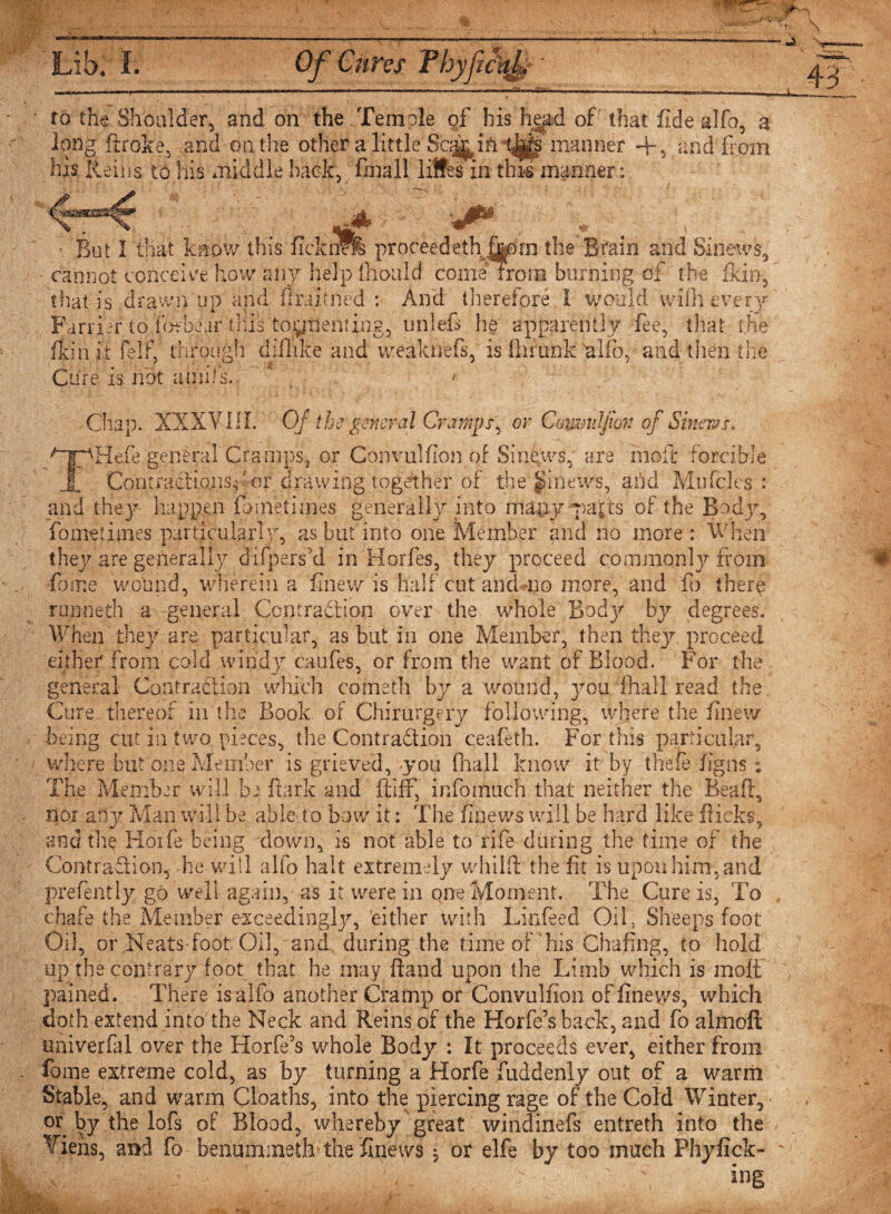 ,ib. Of Cures Fhypcitf ' wr. i, —irw in—— ■■■—„ .. to the Shoulder, and on the Temple q{ his head of that fide alfo, a long ftroke, and on the other a little Sq^ift tjjjjte manner +3 and from his Reins to his middle hack, Snail lifts in this manner: . . # . .. • But I that know this flcknWs proceedeth|jjprn the Brain and Smews, cannot conceive how any help fhotilcf corne from burning of the fidn, that is drawn up and ftraitned : And therefore I wpiijd with every Farrier to forbear this toynenting, unlefi he apparently fee, that the fkin it felt, through diflike and weaktiefs, is ill rank 'alfo, and then the Cure is not a mi is, • • Chap. XXXVIII. Of the general Cramps^ or Couvuljwn of Sinews. Hefe general Cramps, or Convulfion of Sinews, are molt forcible Contracfionsy or drawing together of the'jjinews, and Muffles : and the}- happen foine times generally into many pajts of the Body, fo me times particularly, as but into one Member and no more : When they are generally difperskl in Horfes, they proceed commonly from fome wound, wherein a' finew is half cut and no more, and fo there runneth a general Contraction over the whole Body by degrees. When they are particular, as but in one Member, then they, proceed either from cold windy caufes, or from the want of Blood. For the general Contraction which cometh by a wound, you fhall read the Cure thereof in the Book of Chirurgery following, where the finew being cut in two pieces, the Contraction ceafeth. For this particular, wliere but one Member is grieved, you fhall know it by thefe figns ; The Member will be ft ark and ft iff, infomuch that neither the Bead, nor any Man will be able to bow it: The (mews will be hard like flicks, and the Hoife being down, is not able to rife during the time of the Contraction, he will alfo halt extremely whilft the fit is upon him, and prefentiy go well again, as it were in one Moment. The Cure is, To chafe the Member exceedingly, ’either with Linfeed Oil, Sheeps foot Oil, or Neats-foot Oil, and during the time of his Chafing, to hold up the contrary foot that he may ftand upon the Limb which is moft pained. There is alfo another Cramp or Convulfion of finews, which doth extend into the Neck and Reins of the Horfe’s back, and fo almofi: nniverfal over the Horfe’s whole Body : It proceeds ever, either from fome extreme cold, as by turning a Horfe juddenly out of a warm Stable, and warm Cloaths, into the piercing rage of the Cold Winter, or by the lofs of Blood, whereby great windinefs entreth into the , and fo benummeth the finews • or elfe by too much Phyfick- ^' . b ' ■ b . N ing