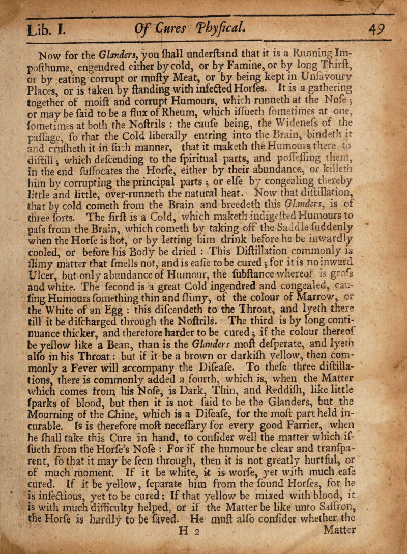 -..) -i— --—r——^ Now for the Glanders, you (hall underftand that it is a Running Xm- pofthume, engendred either by cold, or by Famine, or by long Thirft, or by eating corrupt or mufty Meat, or by being kept in Unfavoury Places, or is taken by Handing with infefled Horfes. It is a gathering together of moift and corrupt Humours, which runneth at the Nofe * or maybe faid to be a flux of Rheum, which iffueth fometimes at one, fometimes at both the Noftrils : the caufe being, the Widenefs of the paffage, fo that the Cold liberally entring into the Brain, bindeth it and crufheth it in fuch manner, that it maketh the Humours there to diffiil*, which defending to the fpiritual parts, and poffeffing them, in the end fuffocates the Horfe, either by their abundance, orkilleth him by corrupting the principal parts * or elfe by congealing thereby little and little, over-runneth the natural heat. Now that diftillation, that by cold cometh from the Brain and breedeth this Glanders, is of three forts. The firft is a Cold, which maketh indigefted Humours to pafs from the Brain, which cometh by taking off the Saddle fuddenly when the Horfe is hot, or by letting him drink before he be inwardly cooled, or before his Body be dried : This Diftillation commonly is llimy matter that fmells not, and is eafie to be cured \ for it is no inward Ulcer, but only abundance of Humour, the fubftance whereof is grofs and white. The fecond is a great Cold ingendred and congealed, can- ling Humours fomething thin and flimy, of the colour of Marrow, ot the White of an Egg : this difcendeth to the Throat, and lyeth there till it be difcharged through the Noftrils. The third is by long conti¬ nuance thicket, and therefore harder to be cured •, if the colour thereof be yellow like a Bean, than is the Glanders mo ft defperate, and lyeth alfo in his Throat: but if it be a brown or darkifh yellow, then com¬ monly a Fever will accompany the Difeafe. To thefe three diftilla- tions, there is commonly added a fourth, which is, when the Matter which comes from his Nofe, is Dark, Thin, and Reddifh, like little fparks of blood, but then it is not faid to be the Glanders, but the Mourning of the Chine, which is a Difeafe, for the moft part held in¬ curable, Is is therefore moft neceffary for every good Farrier, when he fhall take this Cure in hand, to confider well the matter which if- fueth from the Horfe’s Nofe : For if the humour be clear and tranfpa- rent, fo that it may befeen through, then it is not greatly hurtful, or of much moment. If it be white, k is worfe, yet with much eafe cured. If it be yellow, feparate him from the found Horfes, for he is infectious, yet to be cured: If that yellow be mixed with blood, it is with much difficulty helped, or if the Matter be like unto Saffron, the Horfe is hardly to be faved. He muft alfo confider whether the H 2 Matter